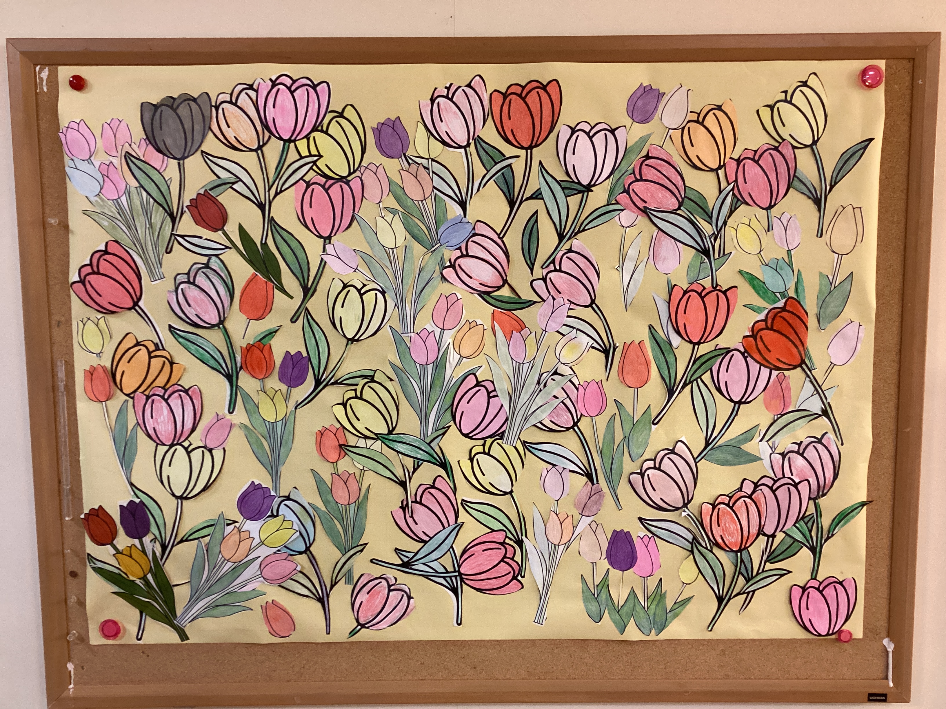 チューリップ畑