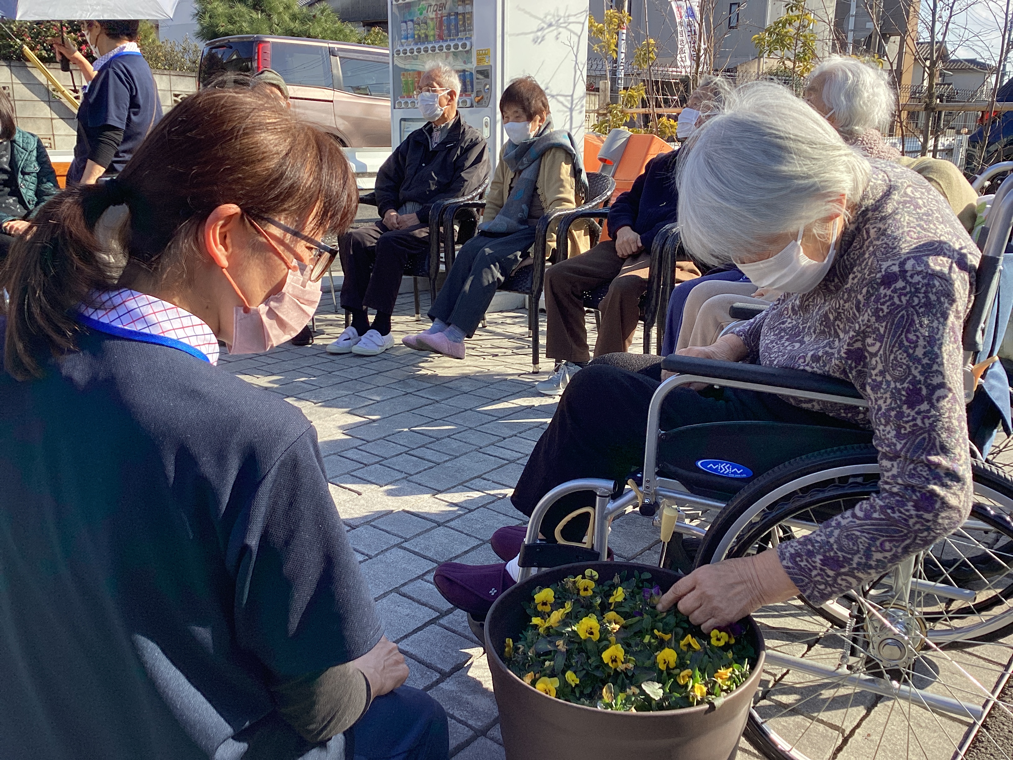 日光浴をしました