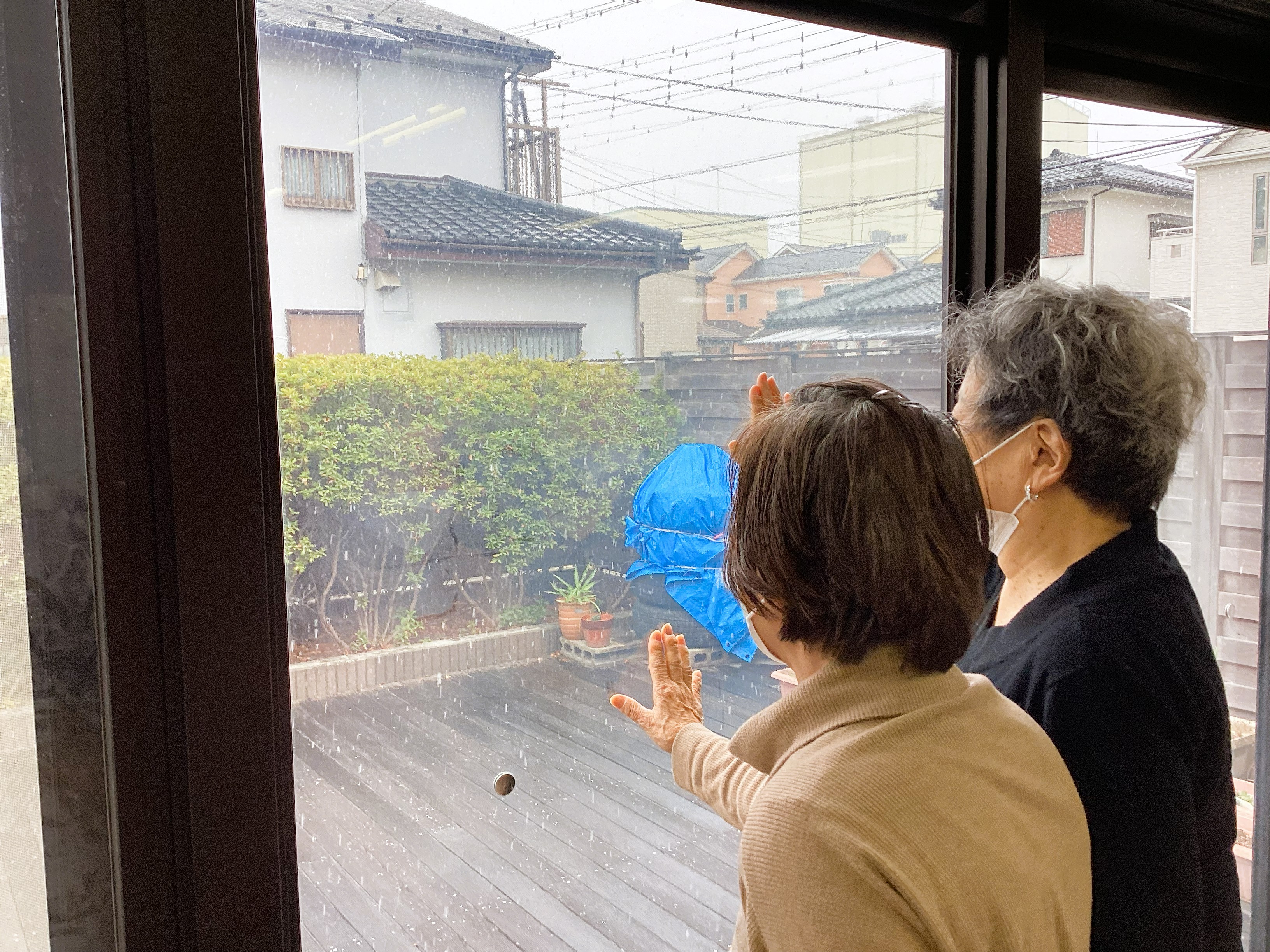 雪が降りました⛄