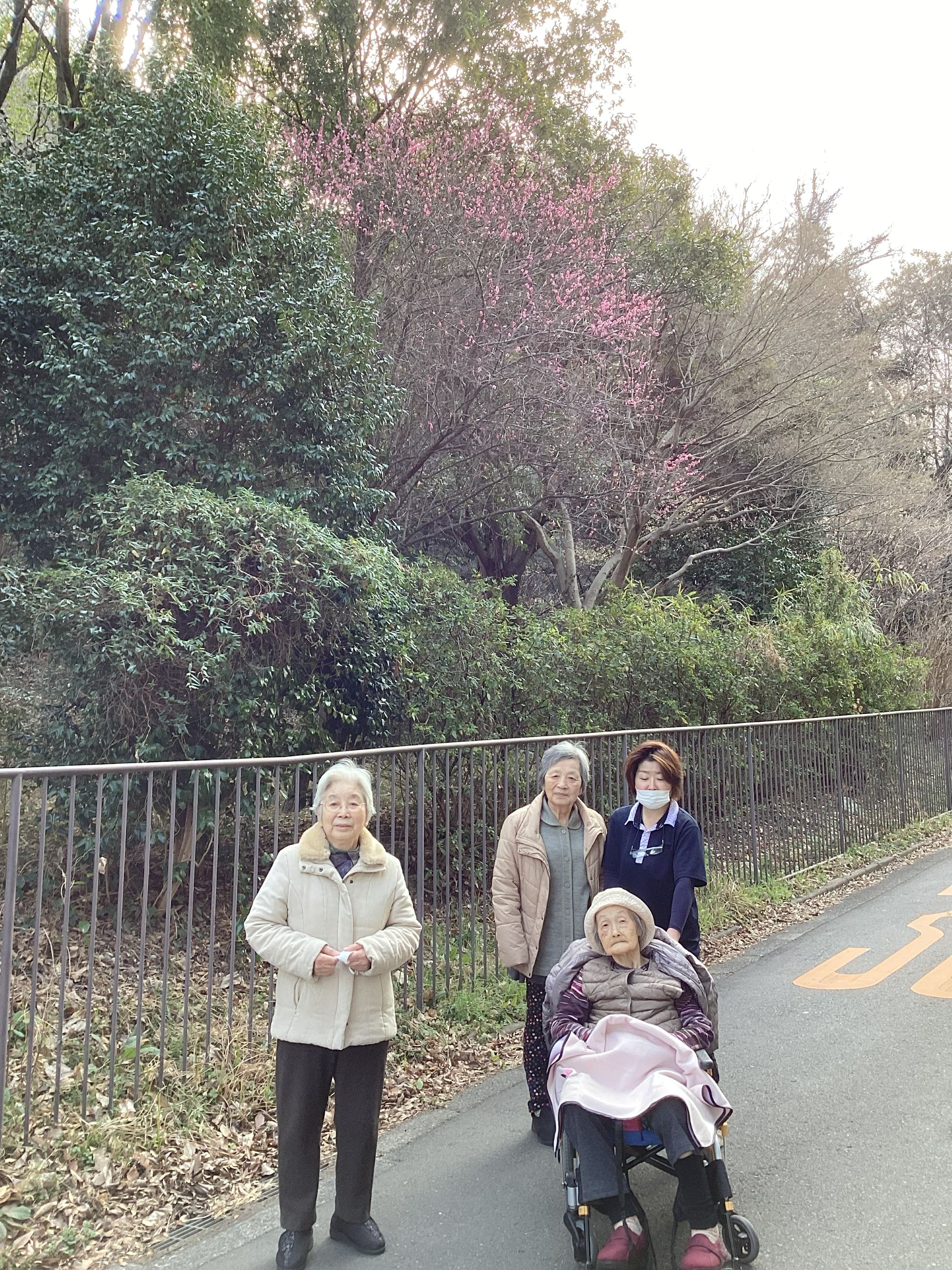 散歩👨‍🦽🚶‍♀️