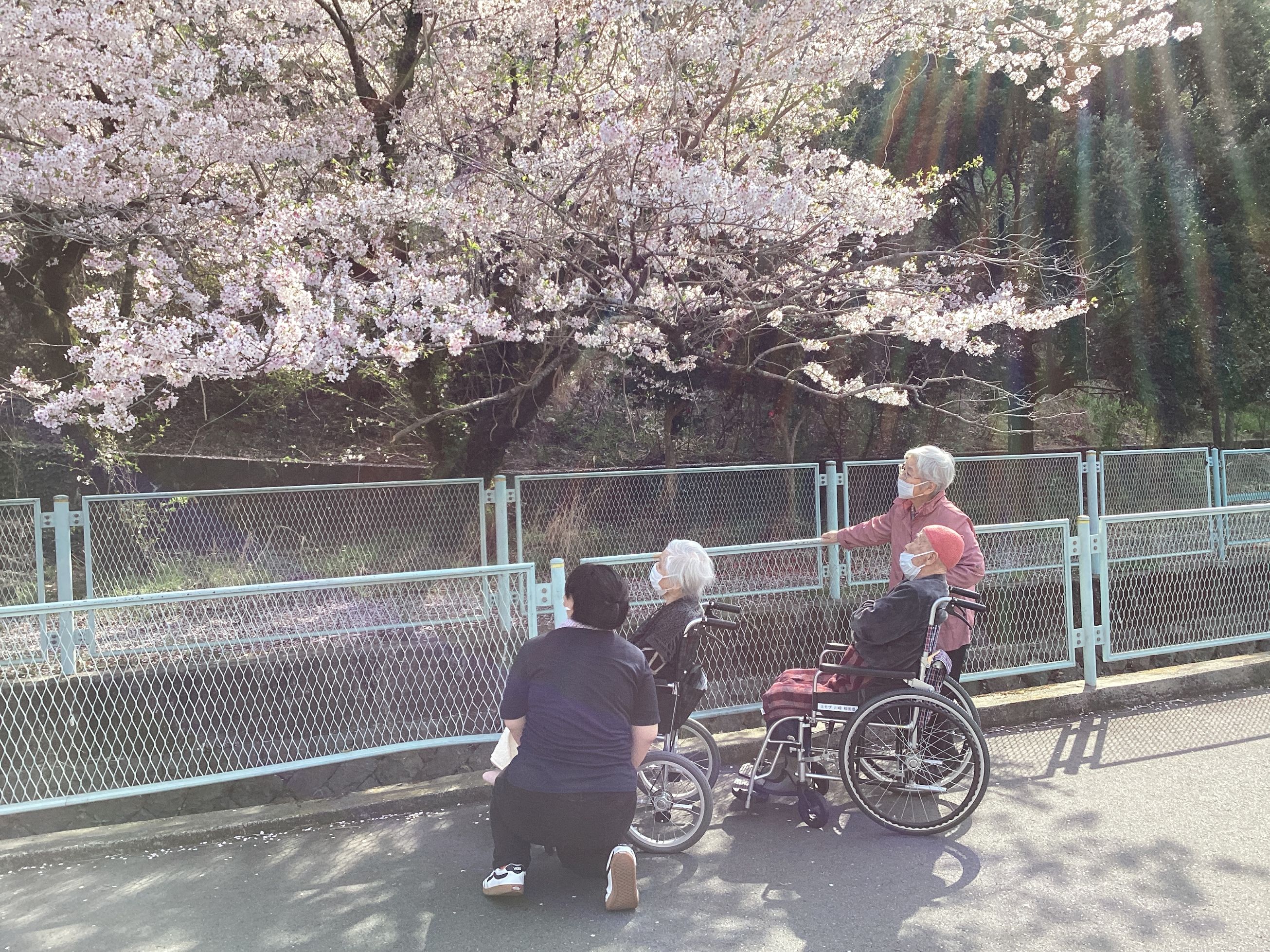 後光がさしてますぅ～😀👍