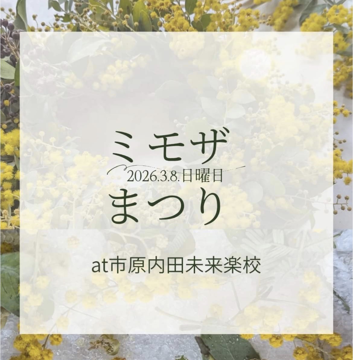 ❁ミモザまつり❁あそびにいくヨ！！