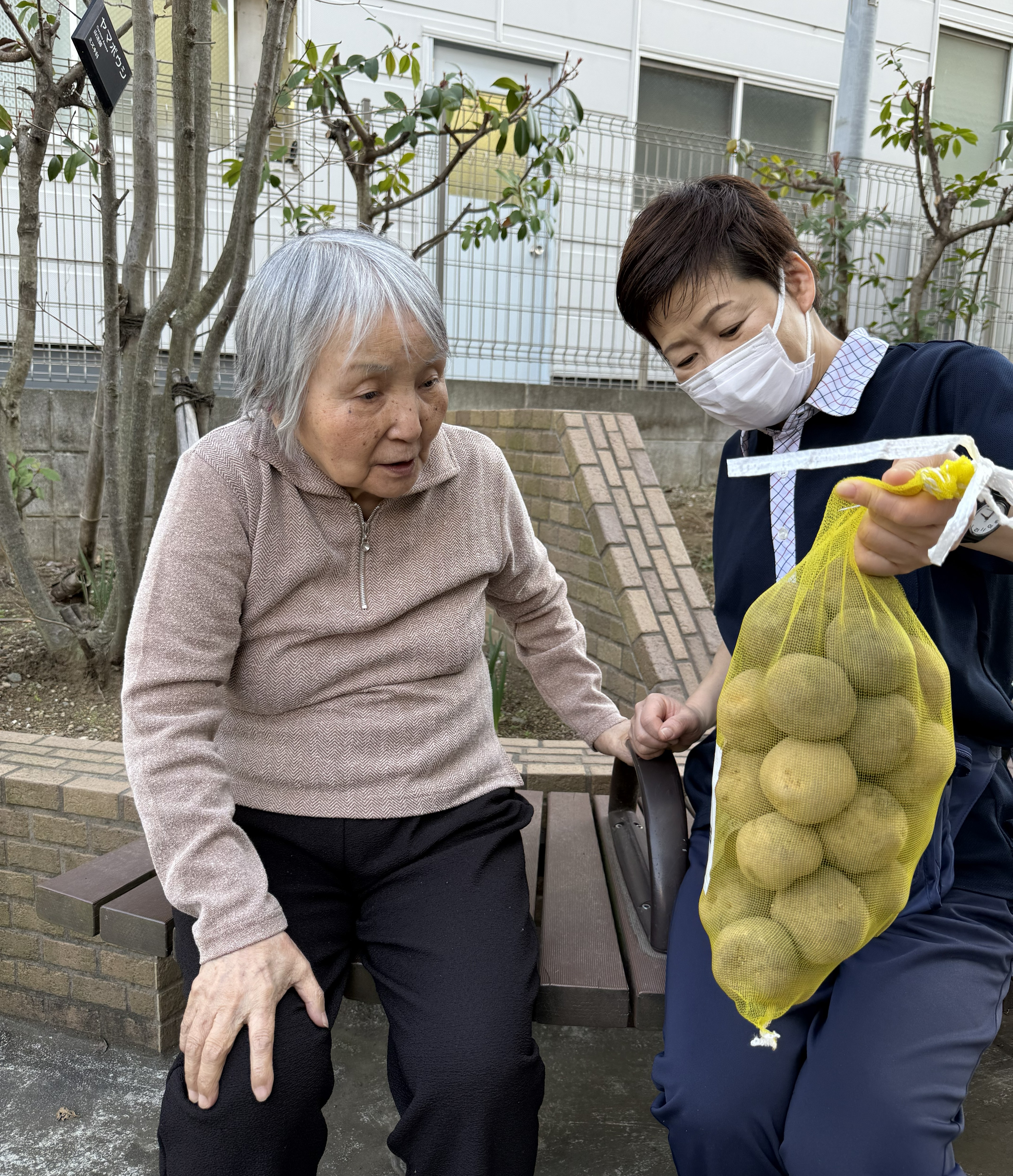 ２０２６年ミモザ農園開園！！