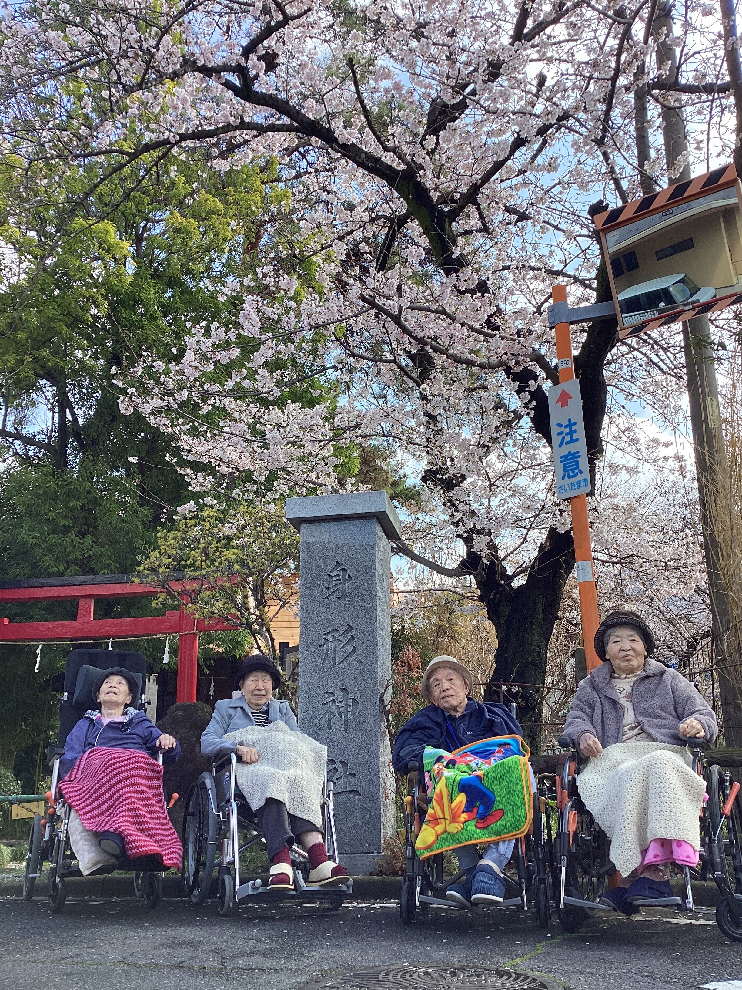 🌸お花見日和🌸
