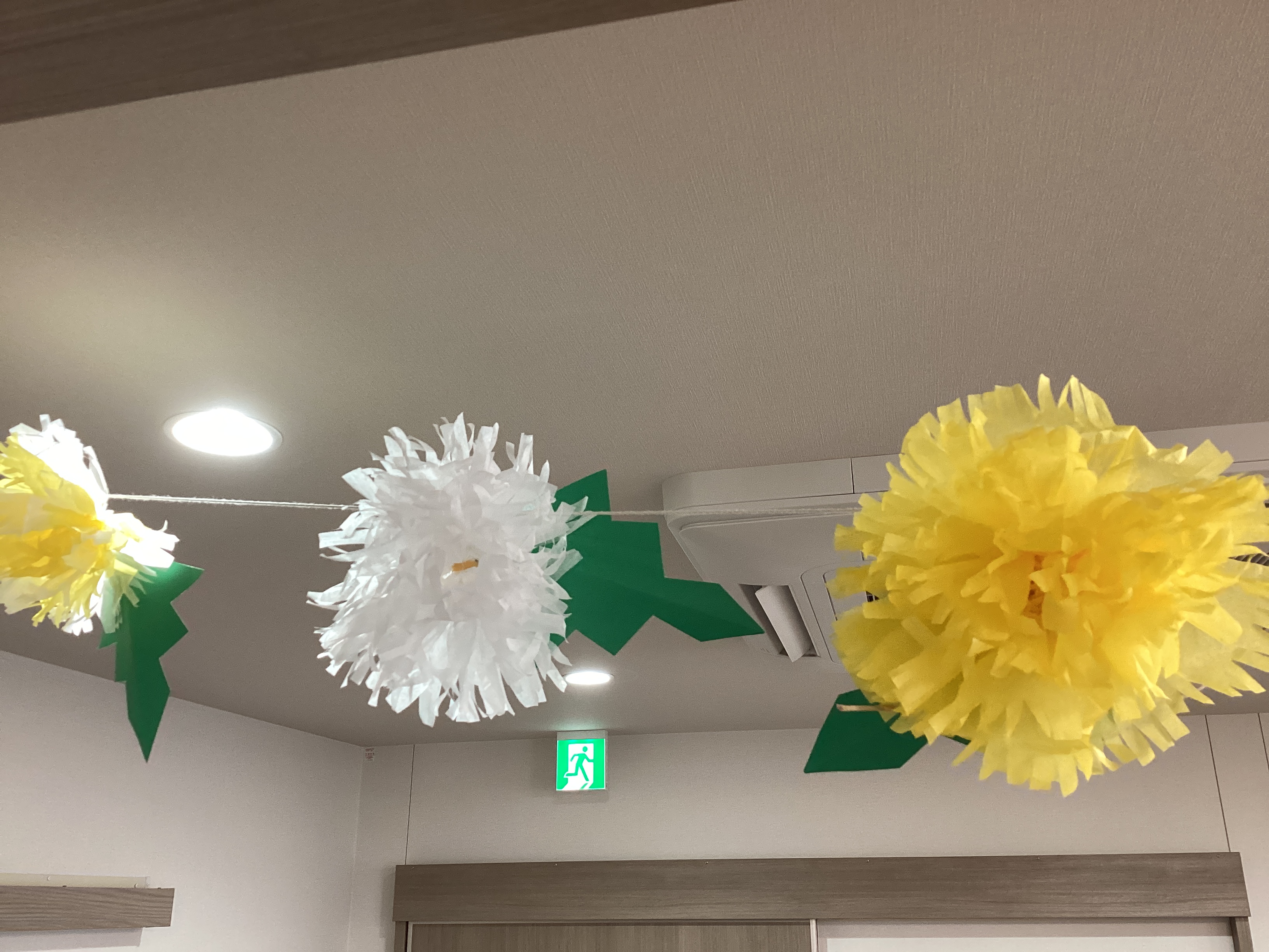 天井に咲くタンポポ！