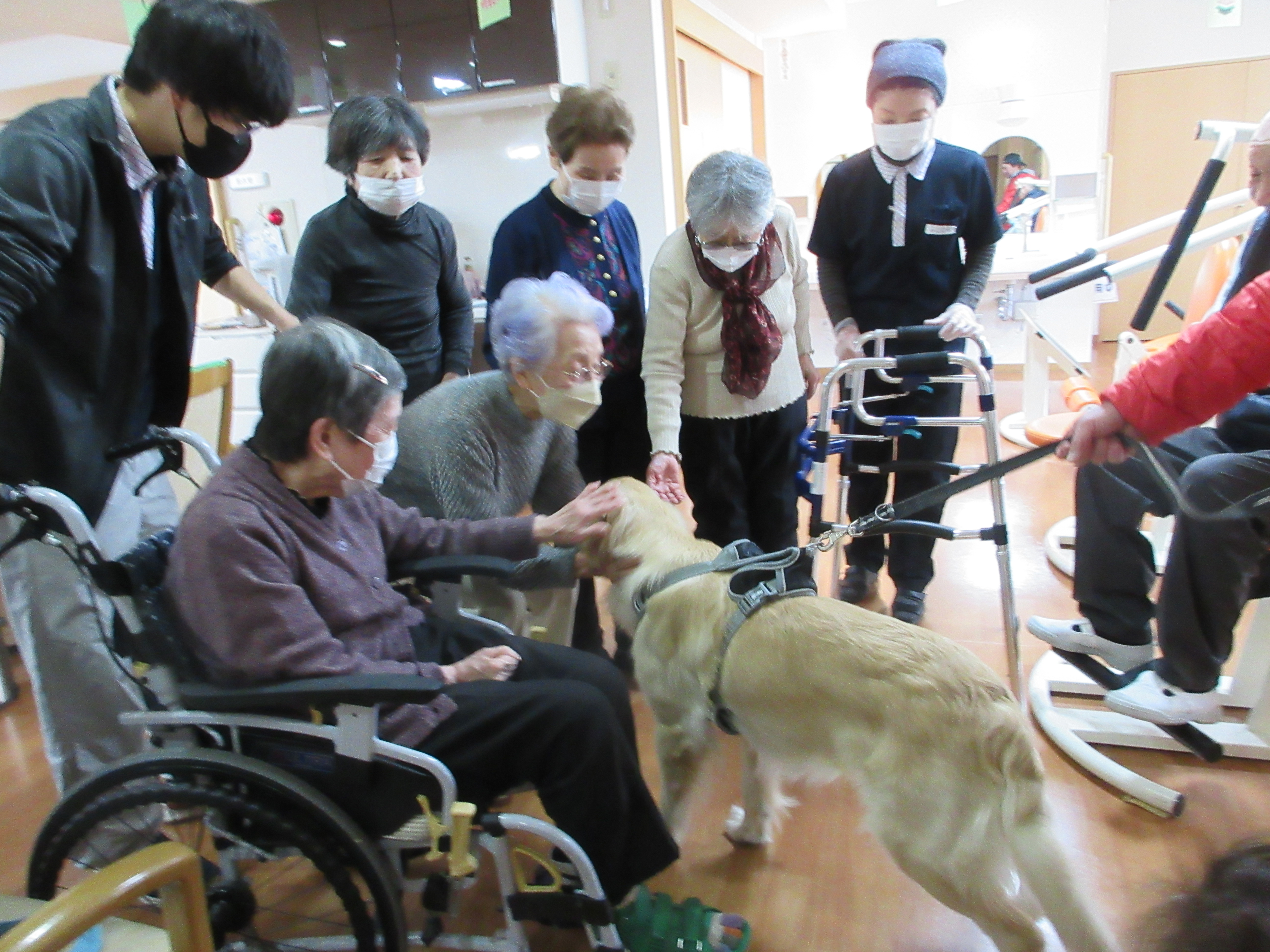 ☆～ワンちゃんが遊びに来ました～☆