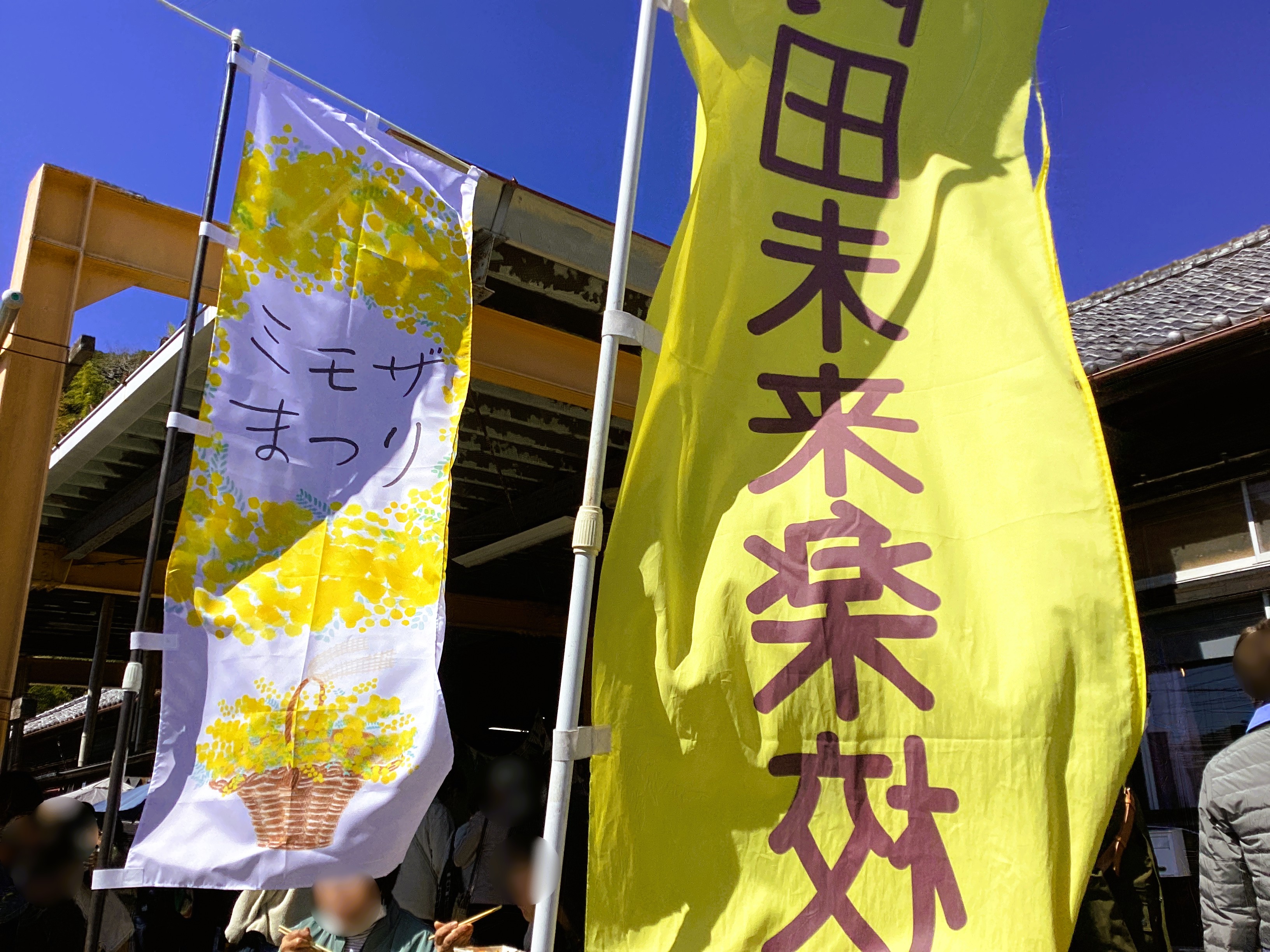 💛ミモザまつり「どのミモザにしようかな？」😊