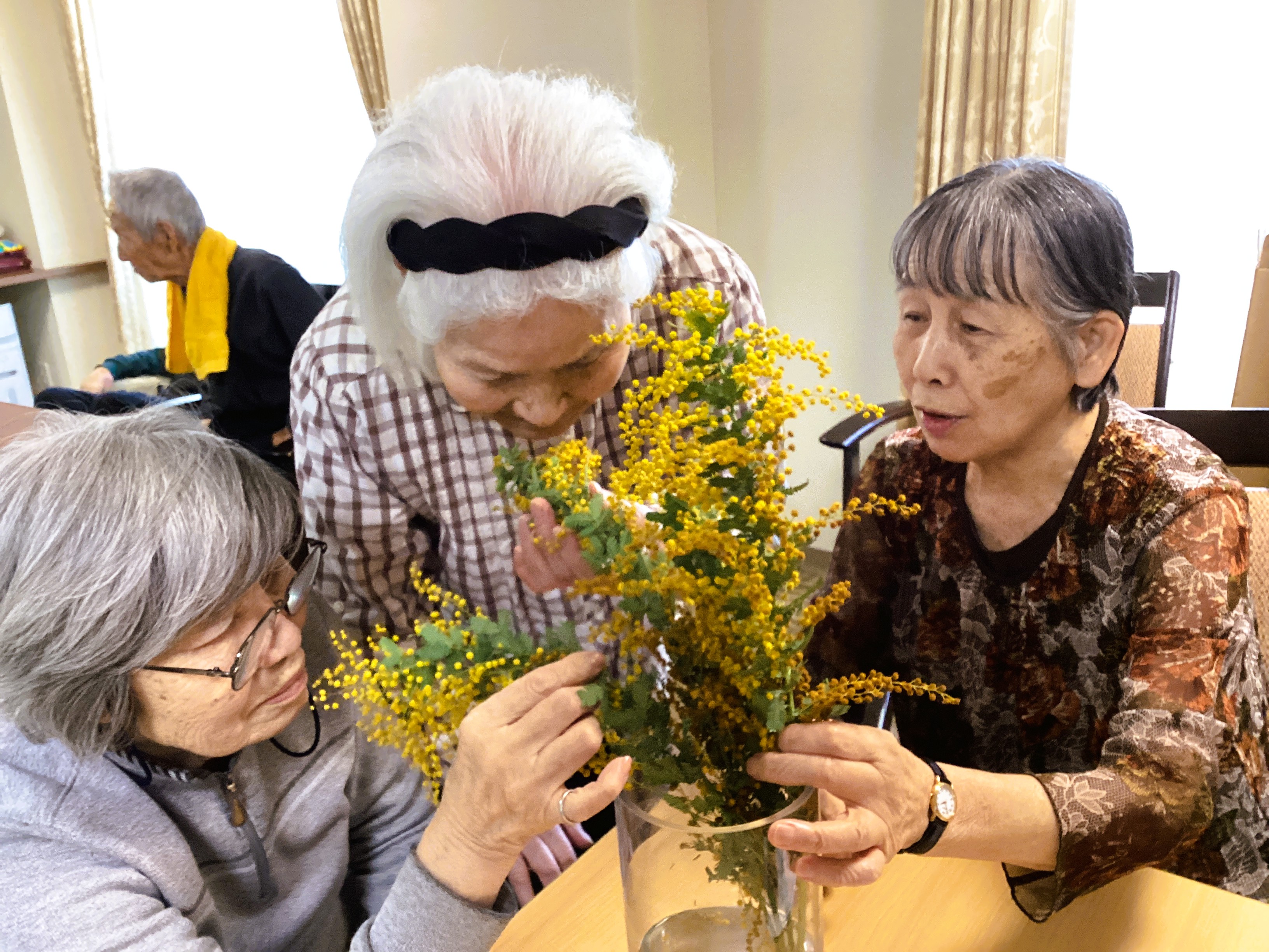 ✨ミモザの魔法✨