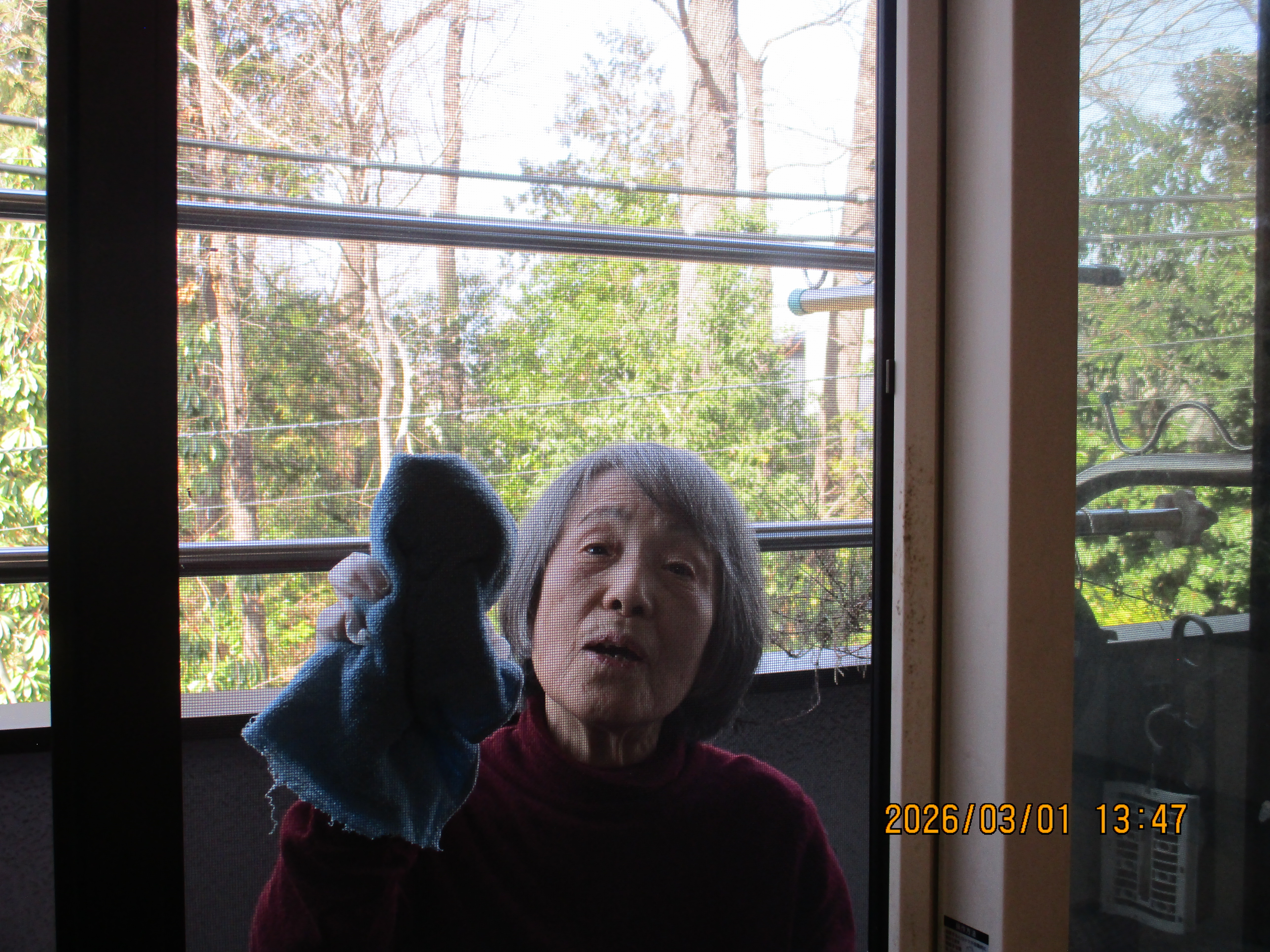 日曜日みんなで窓ふき