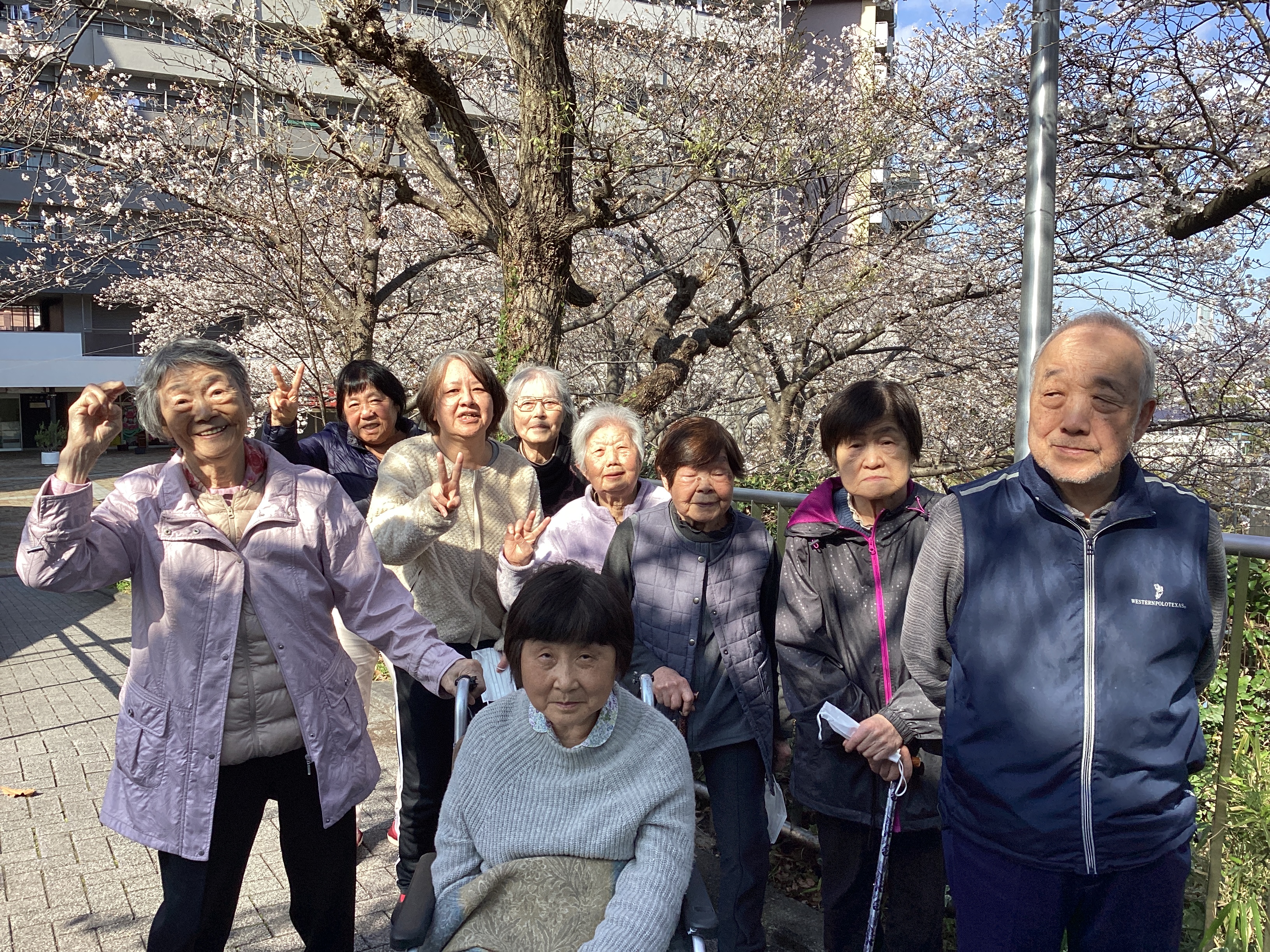 桜が咲きました‼
