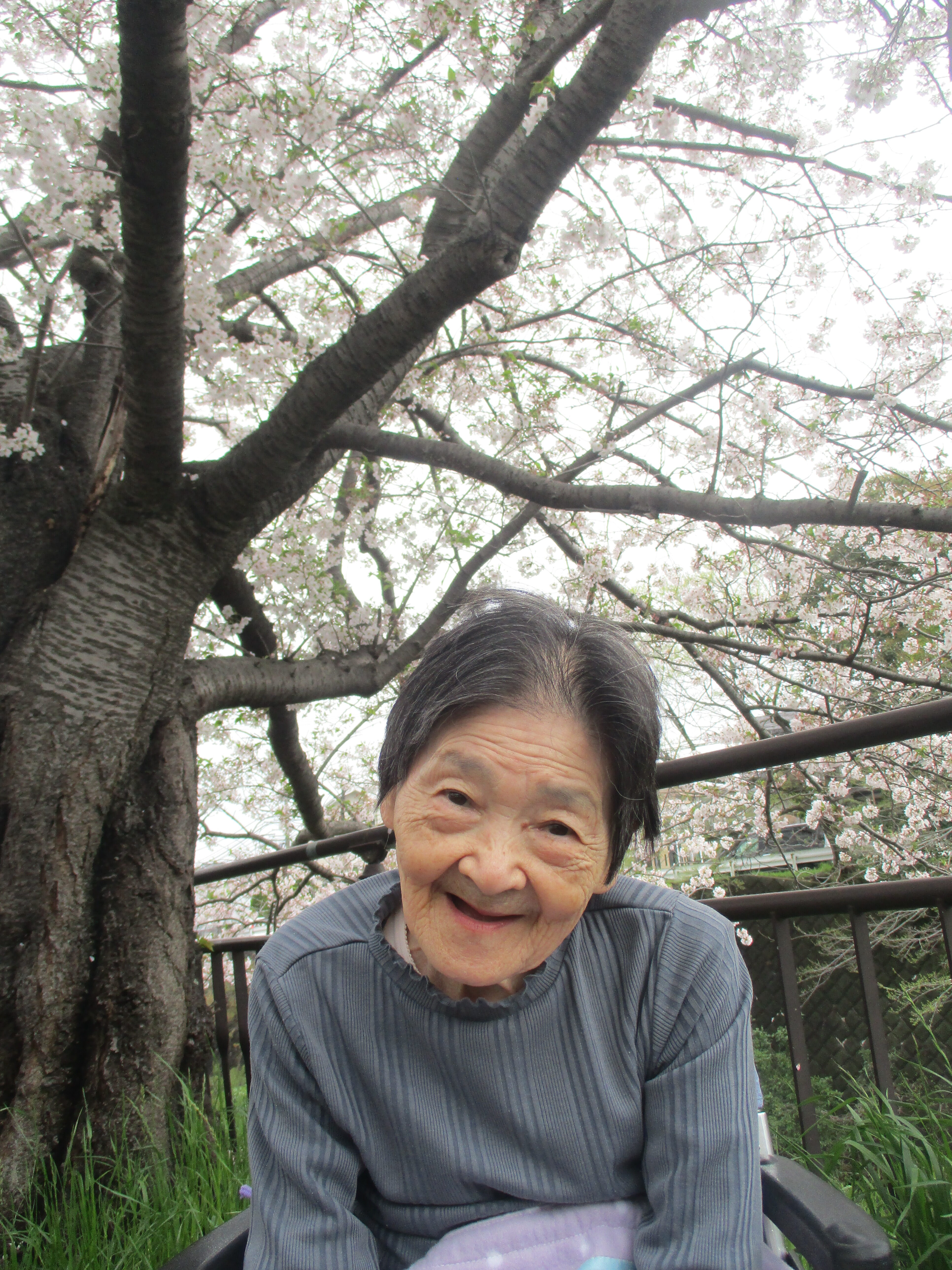 お花見に行ってきました(^^)/