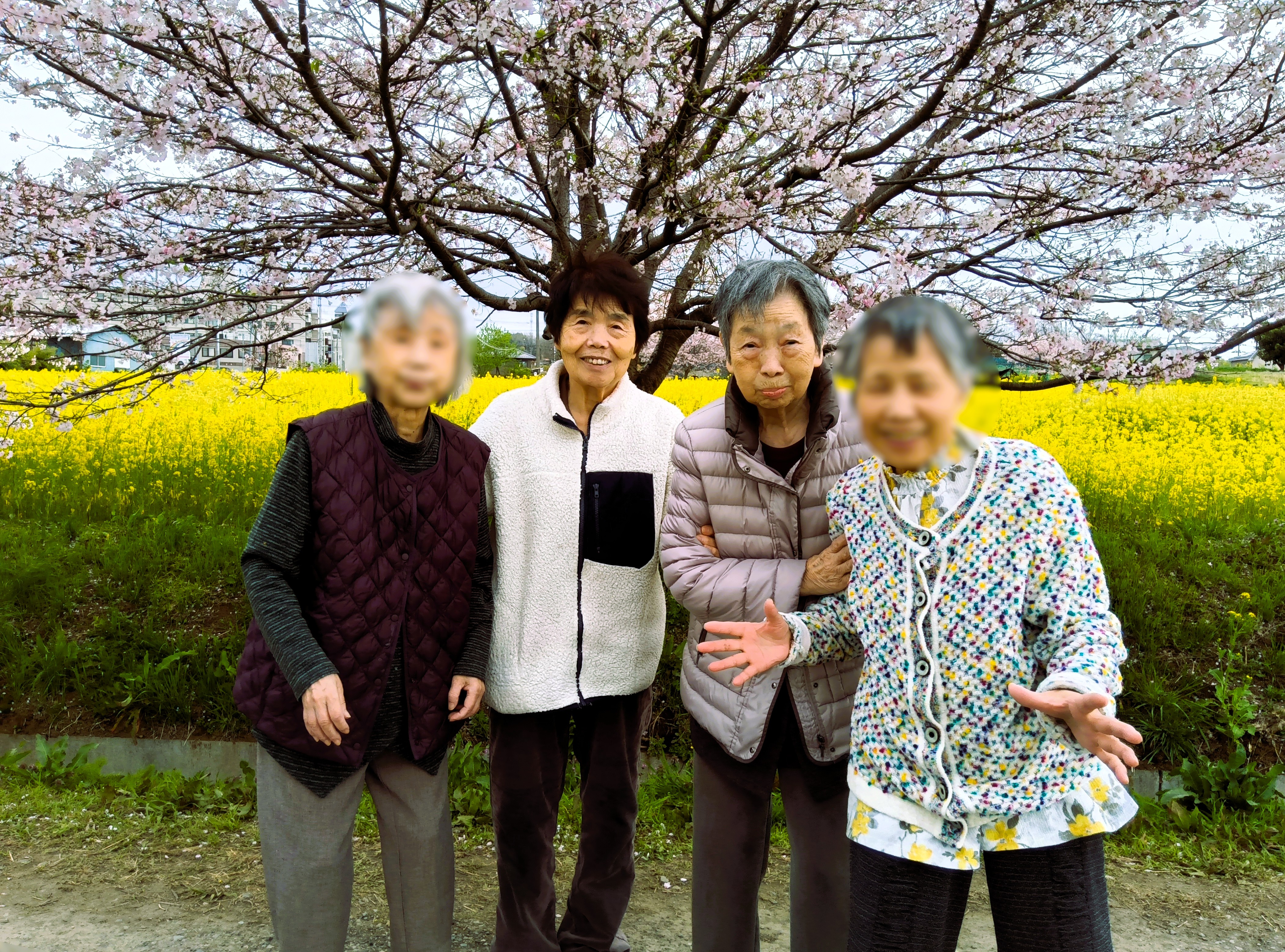 花見ドライブ🌸