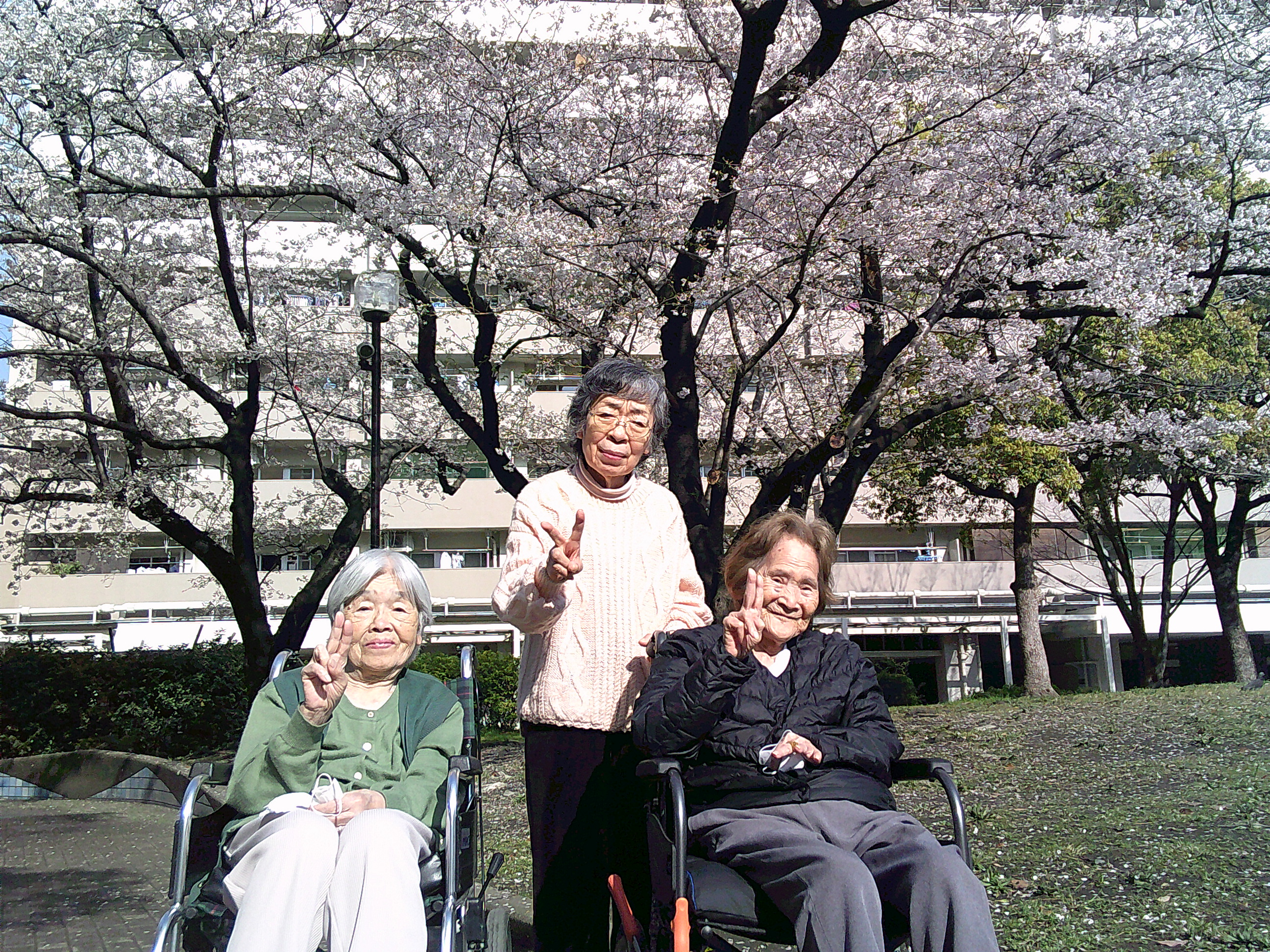 🌸桜鑑賞🌸第二弾