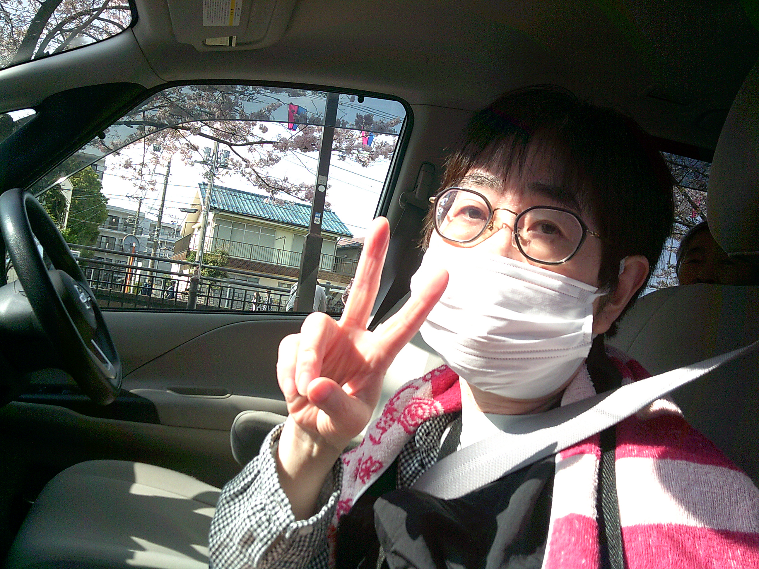 お花見ドライブ🌸