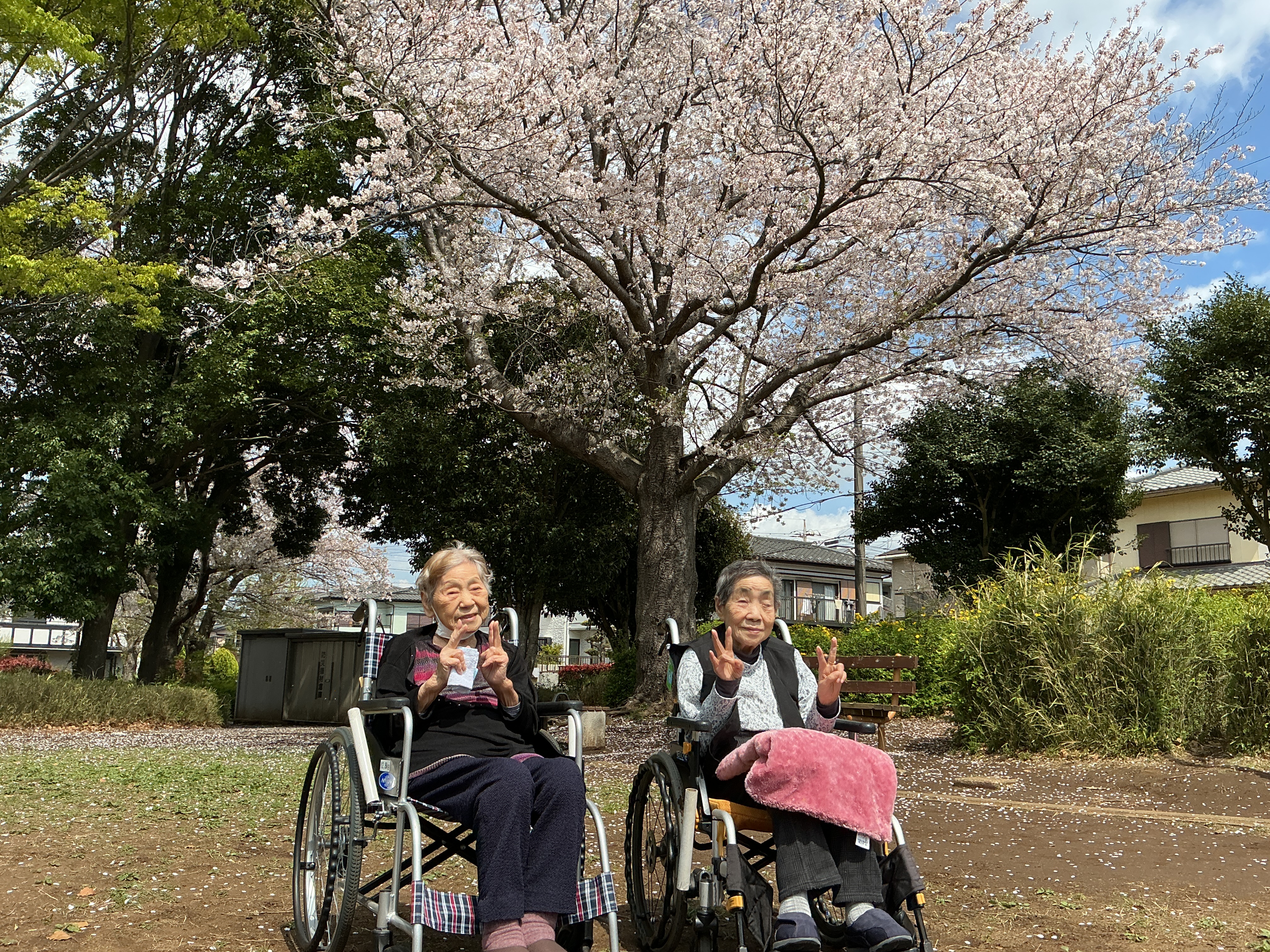 🌸みんなでお花見🌸