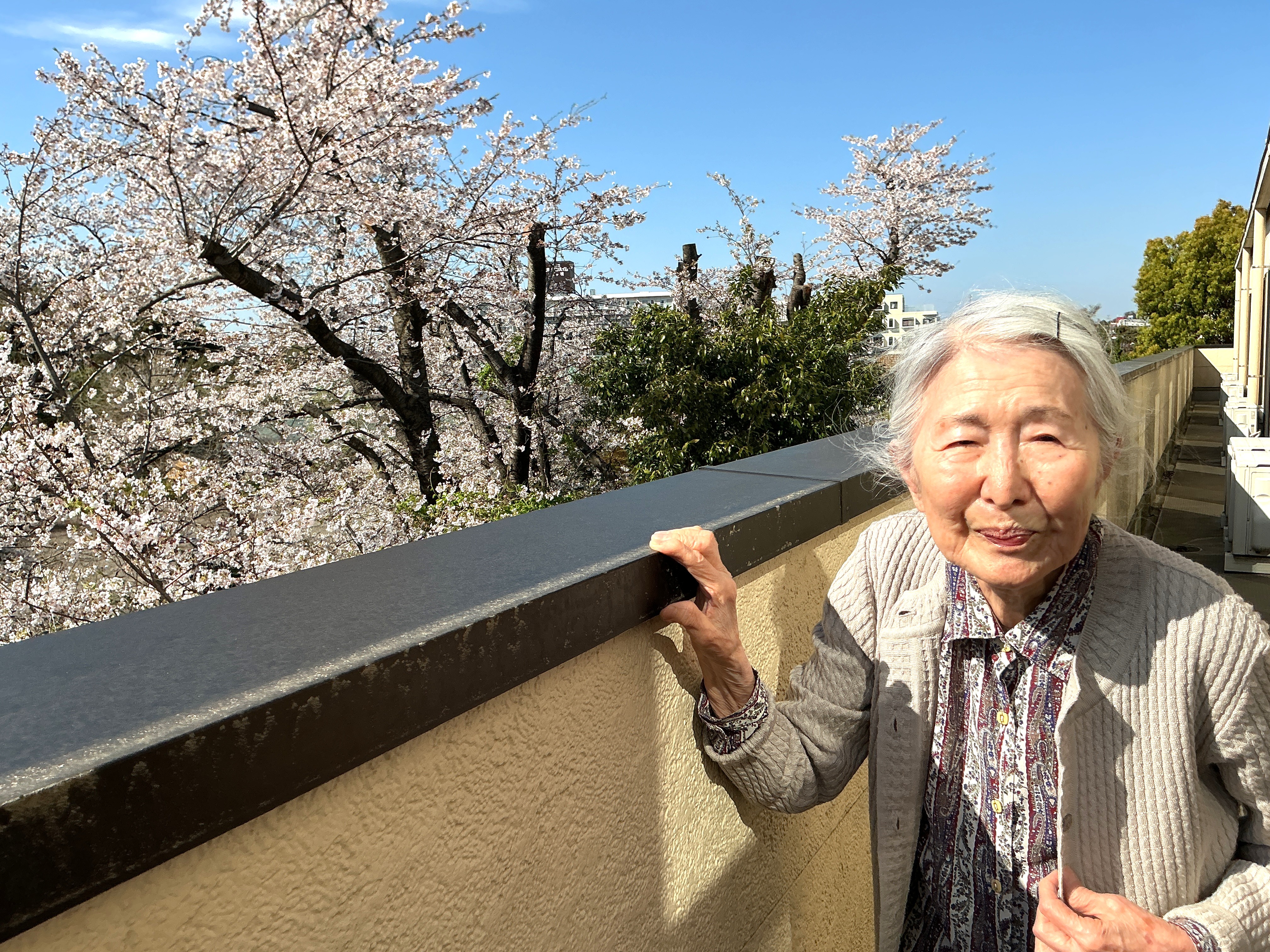 お花見🌸