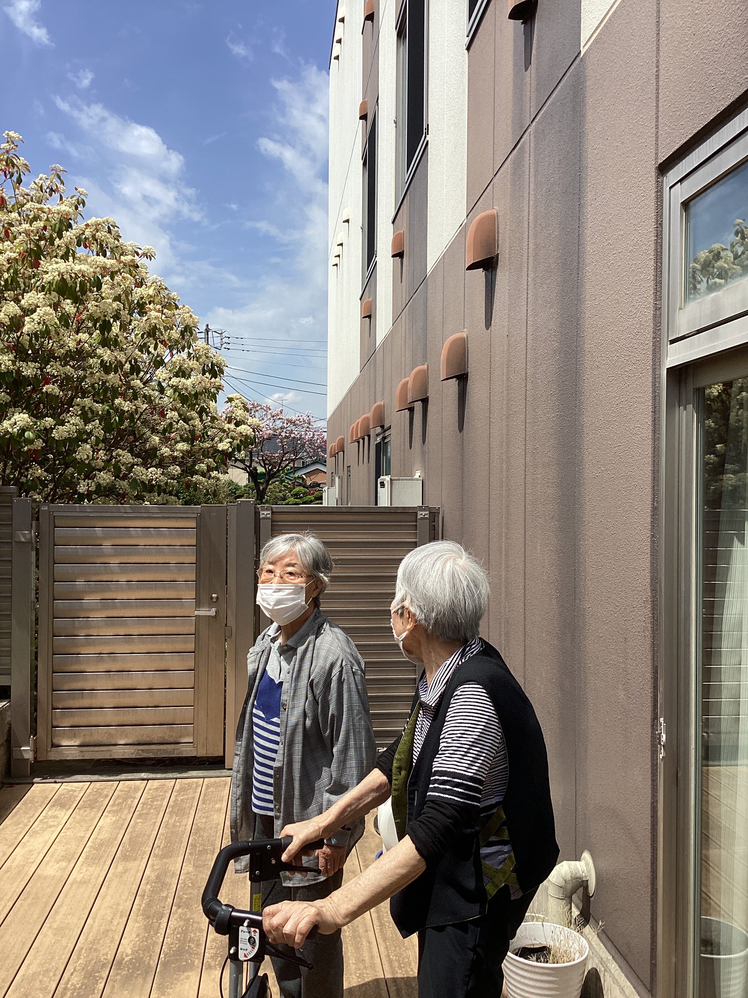 春が来た🌸🌱