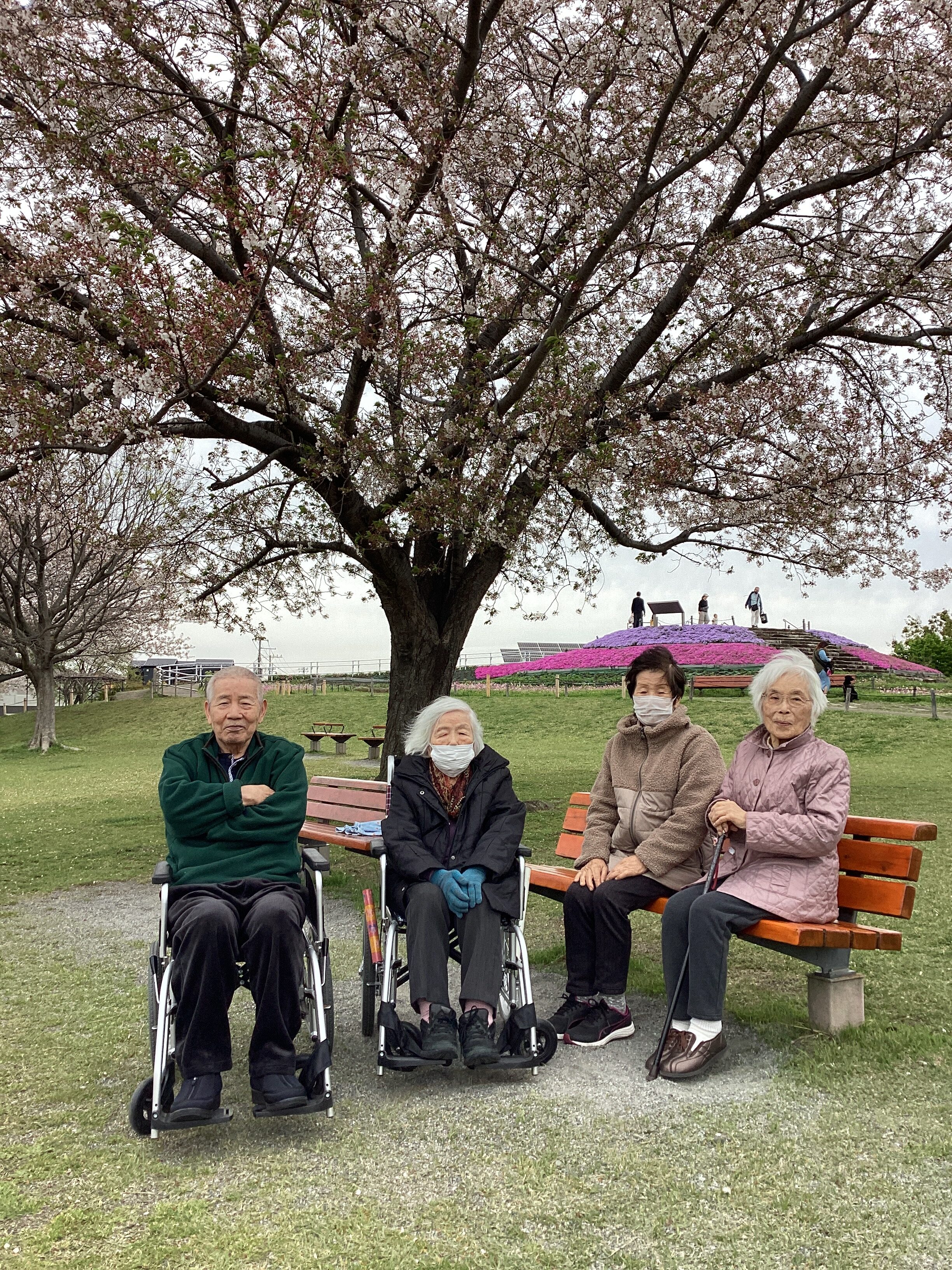 🌸桜をみにいきました🌸