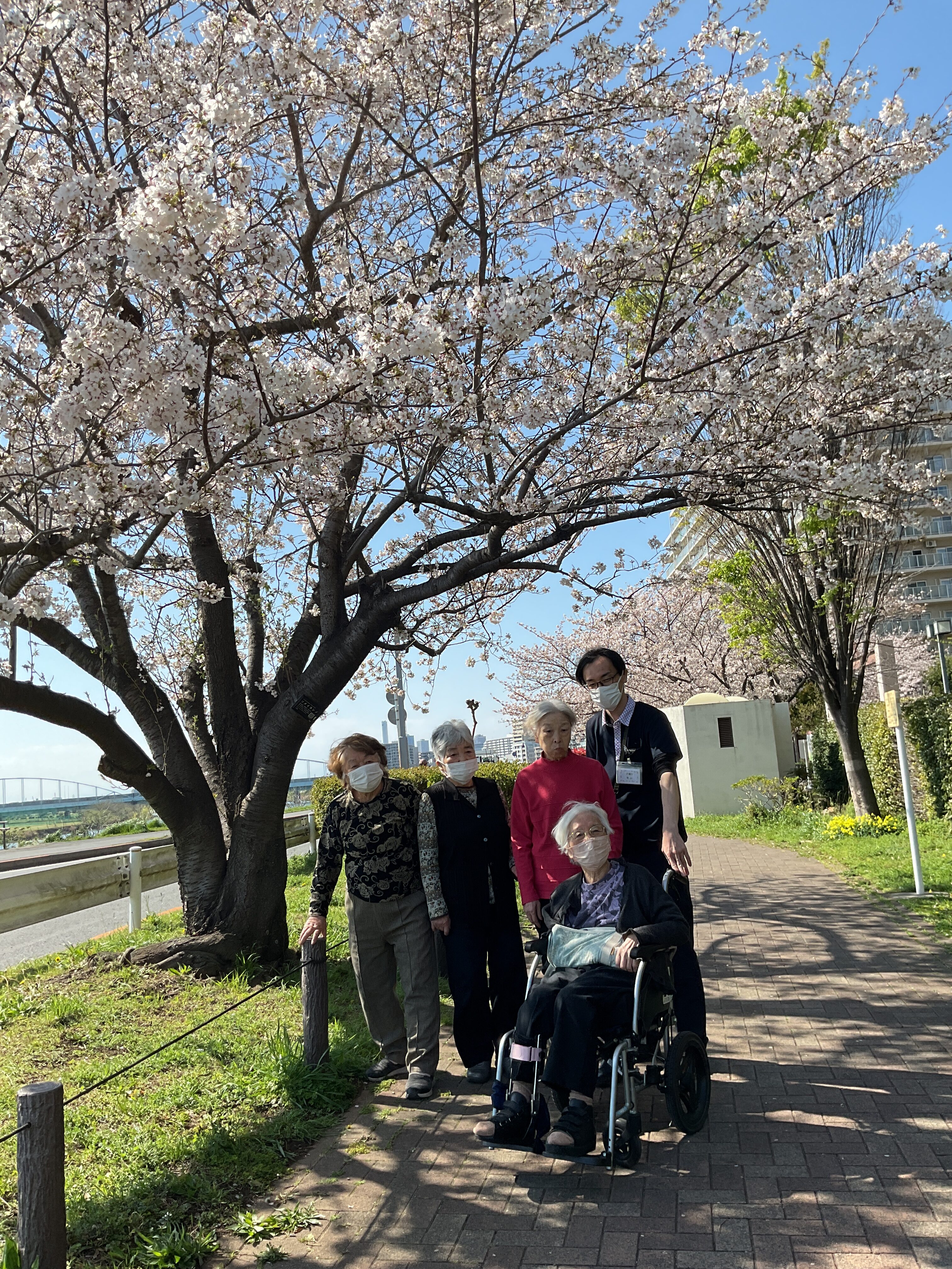 お花見🌸(多摩川)