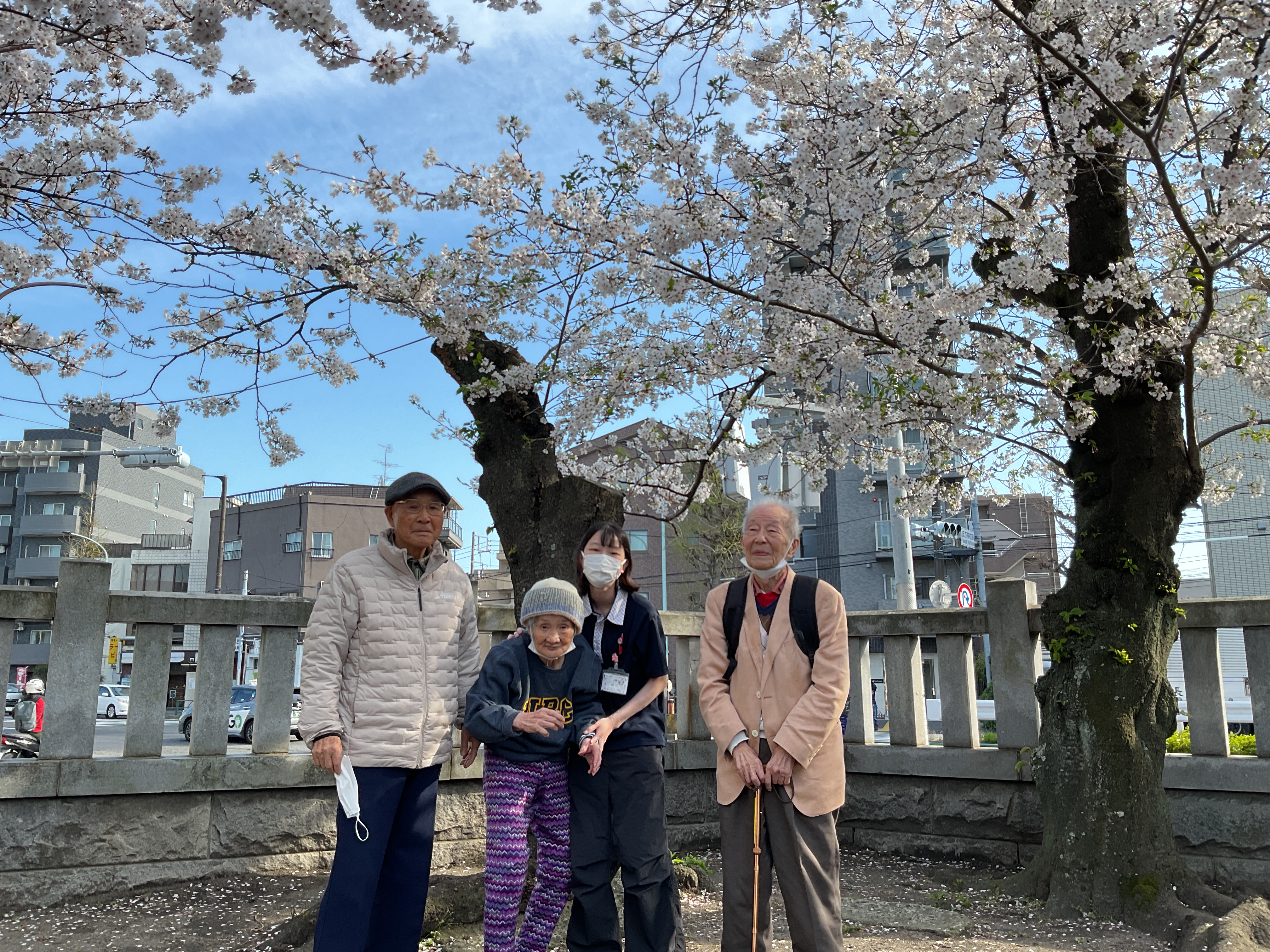 お花見🌸(安方神社)