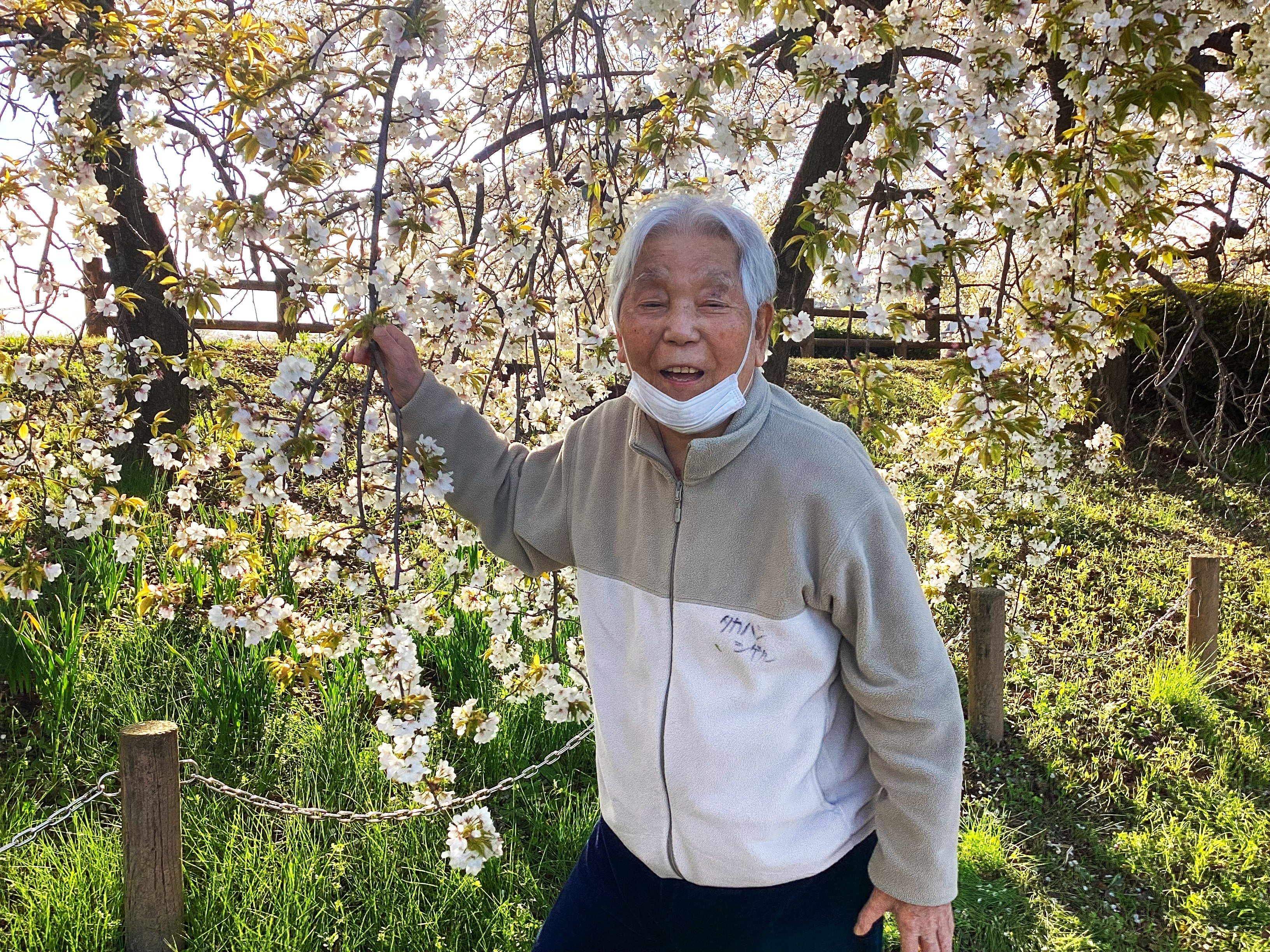 ４月3日のお花見?NO.1