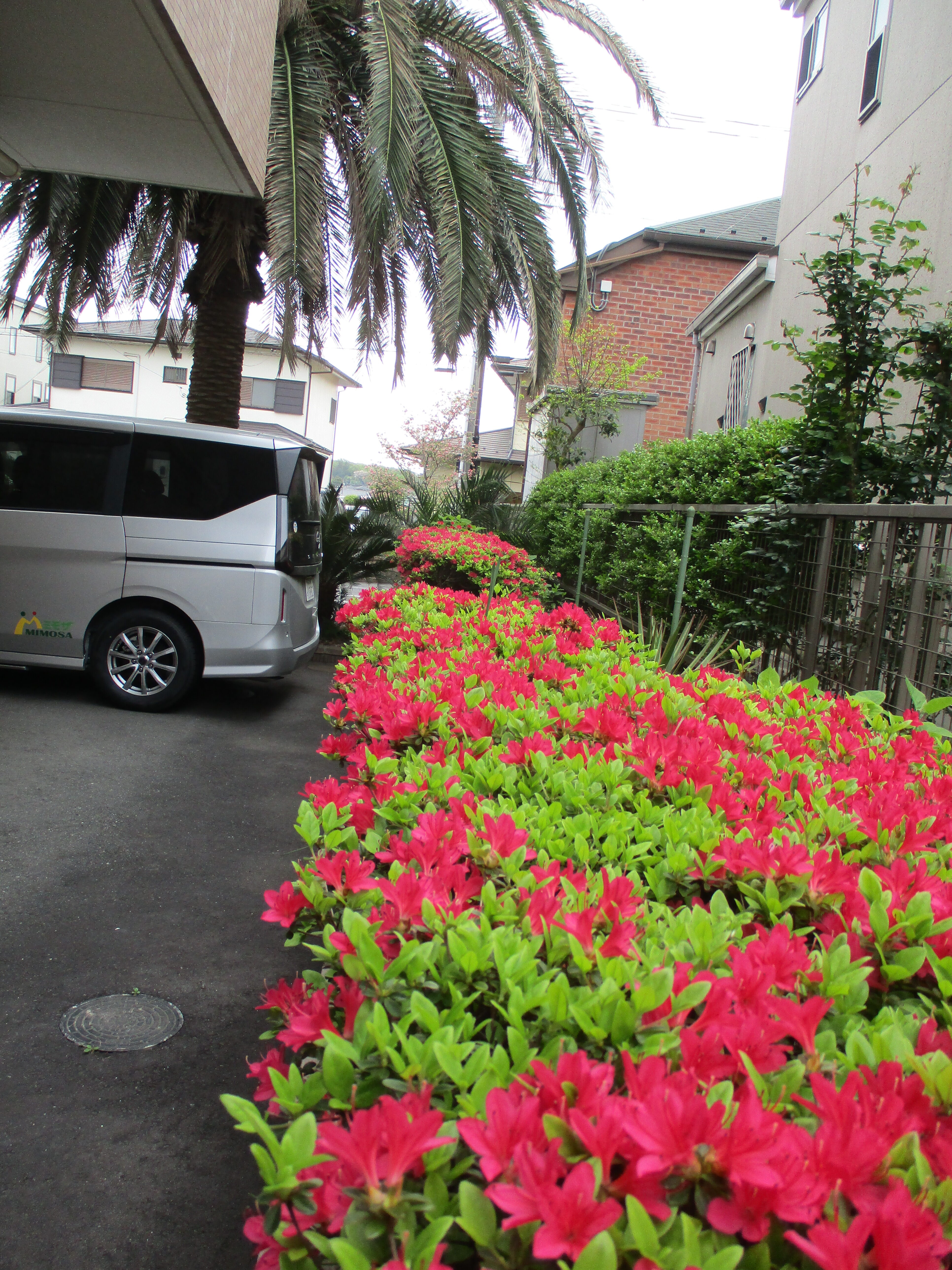 『さつき』『ハナミズキ』