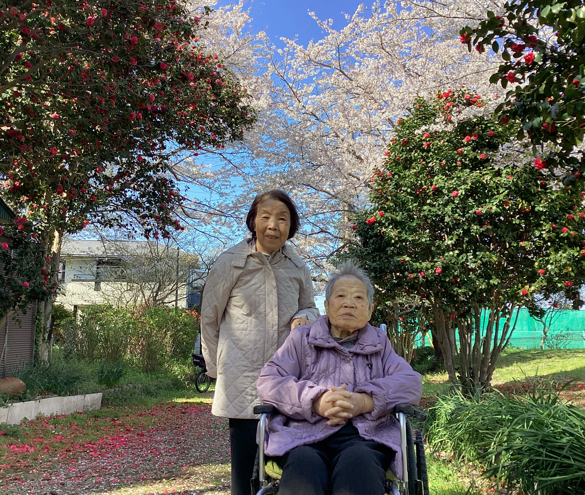 4月の散歩