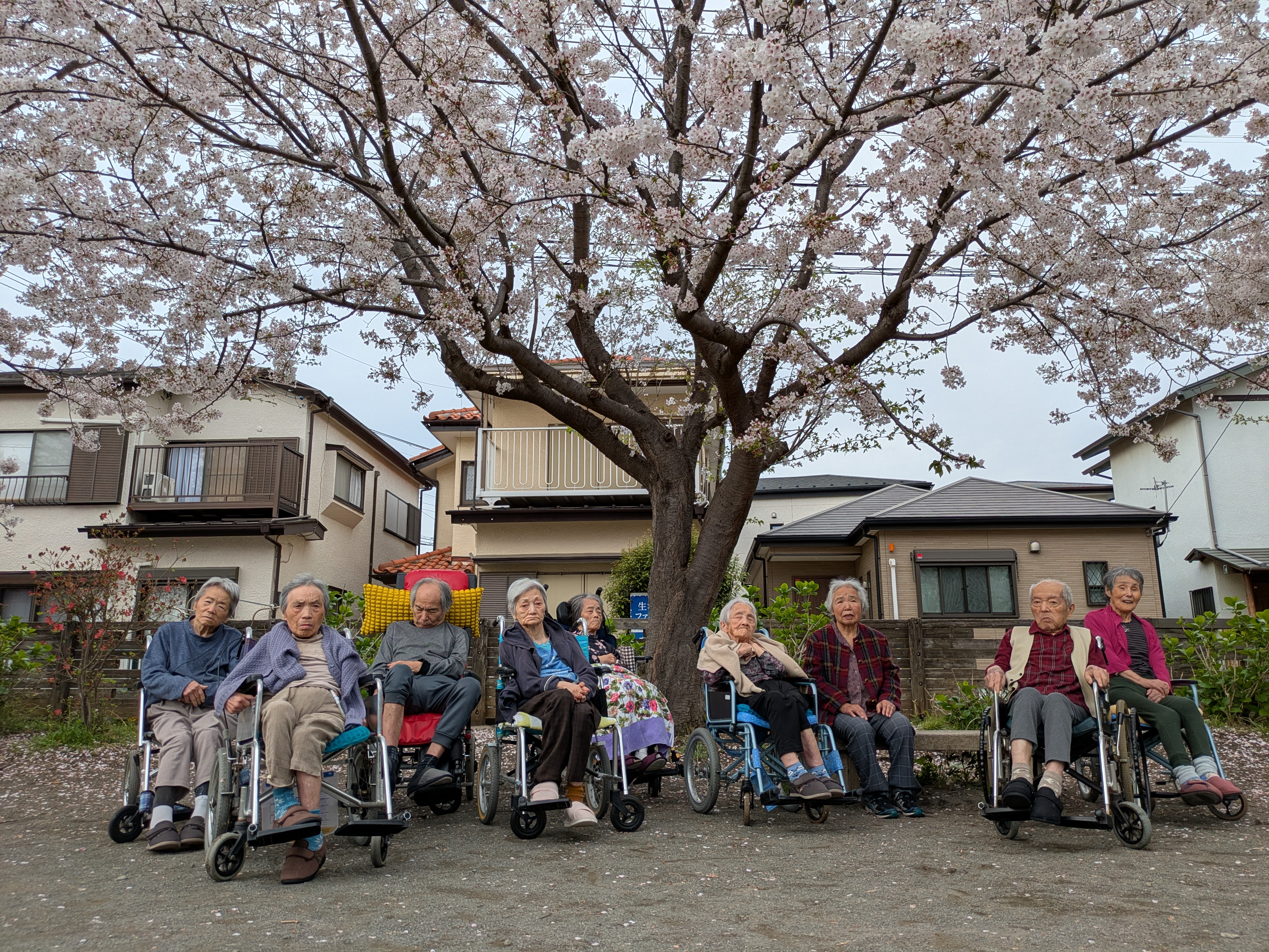 🌸お花見に行きました🌸