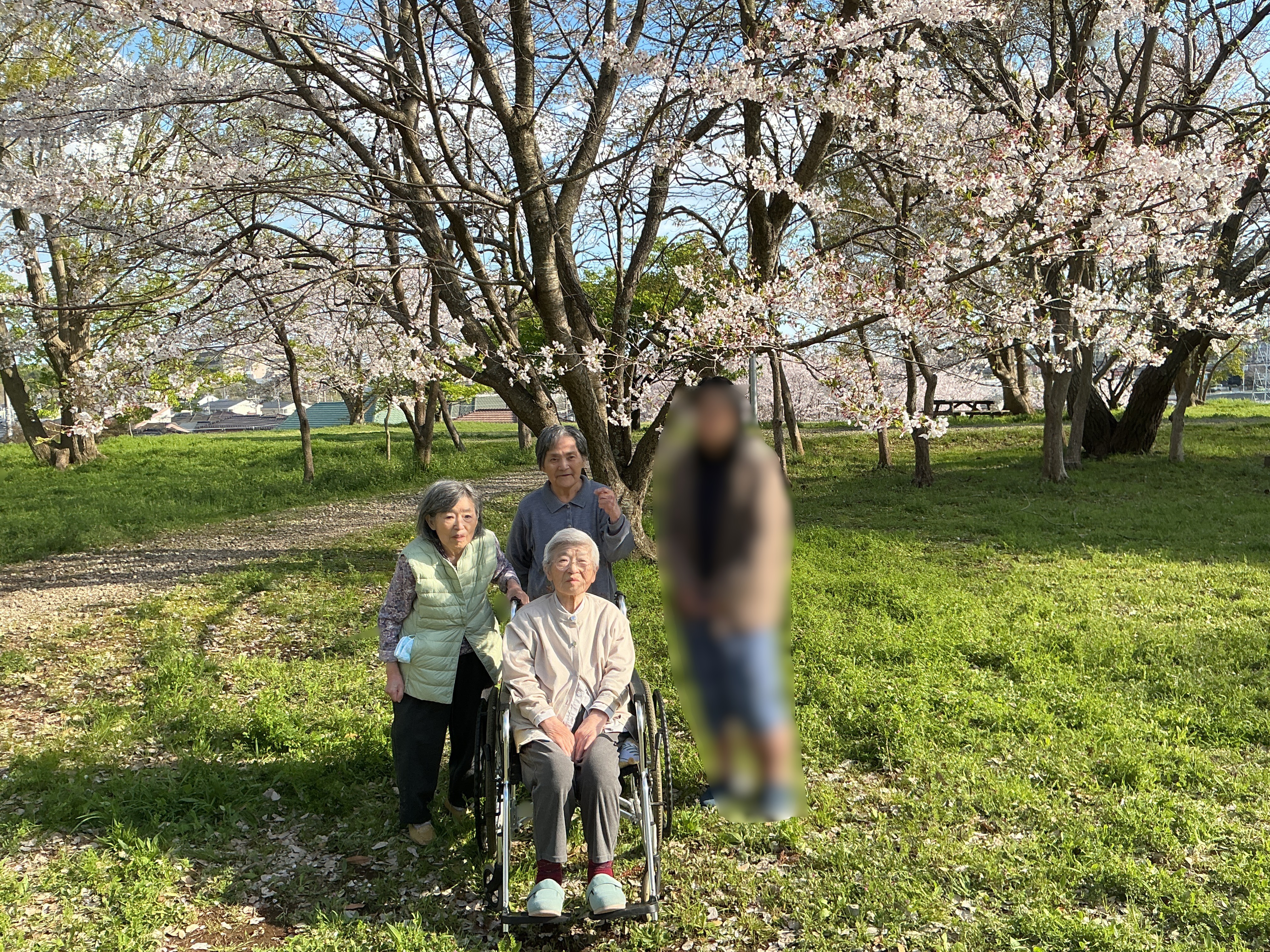 🌸お花見に出かけました🌸