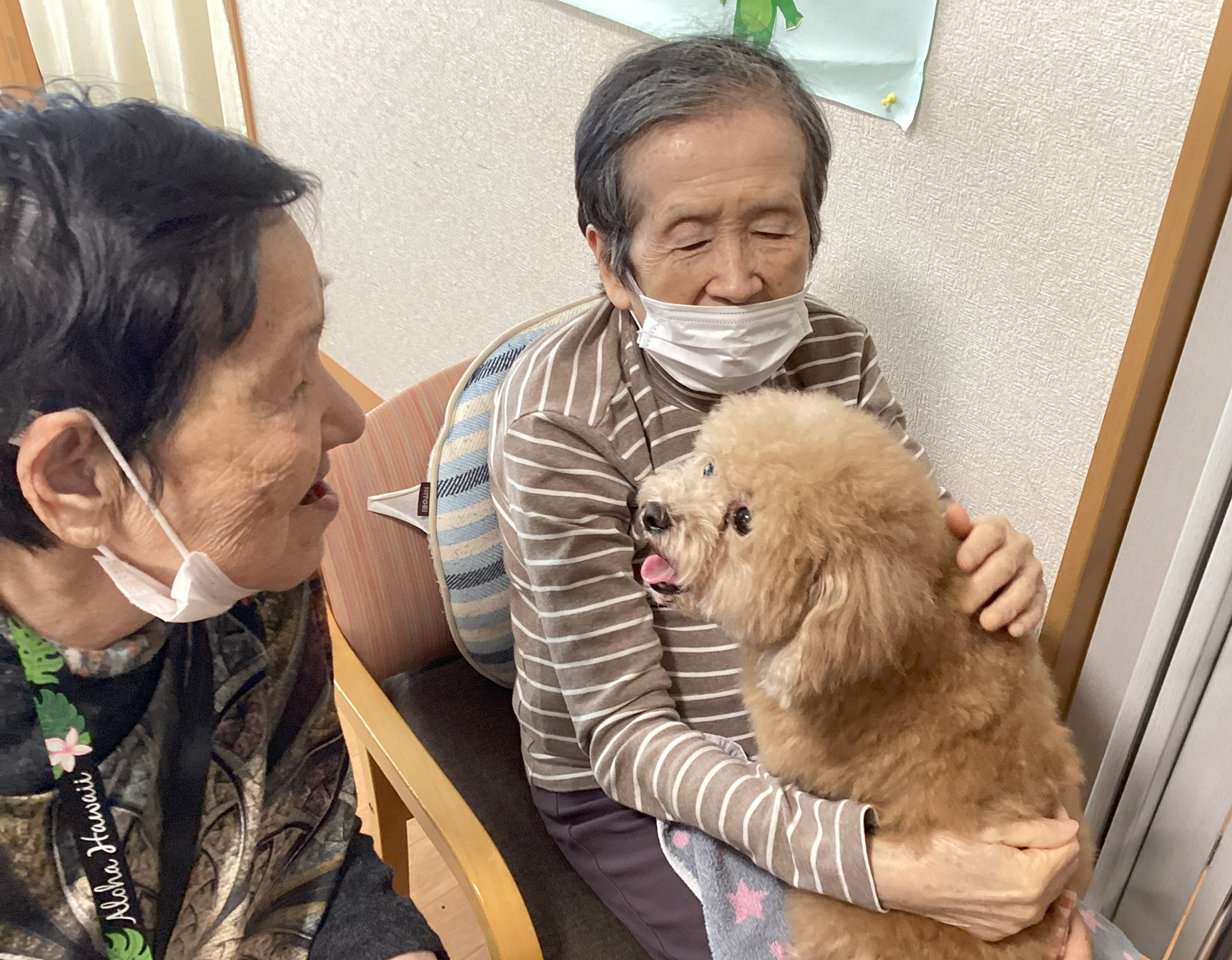 ぬくぬくさんのアニマルセラピー🐶で笑顔満載💕