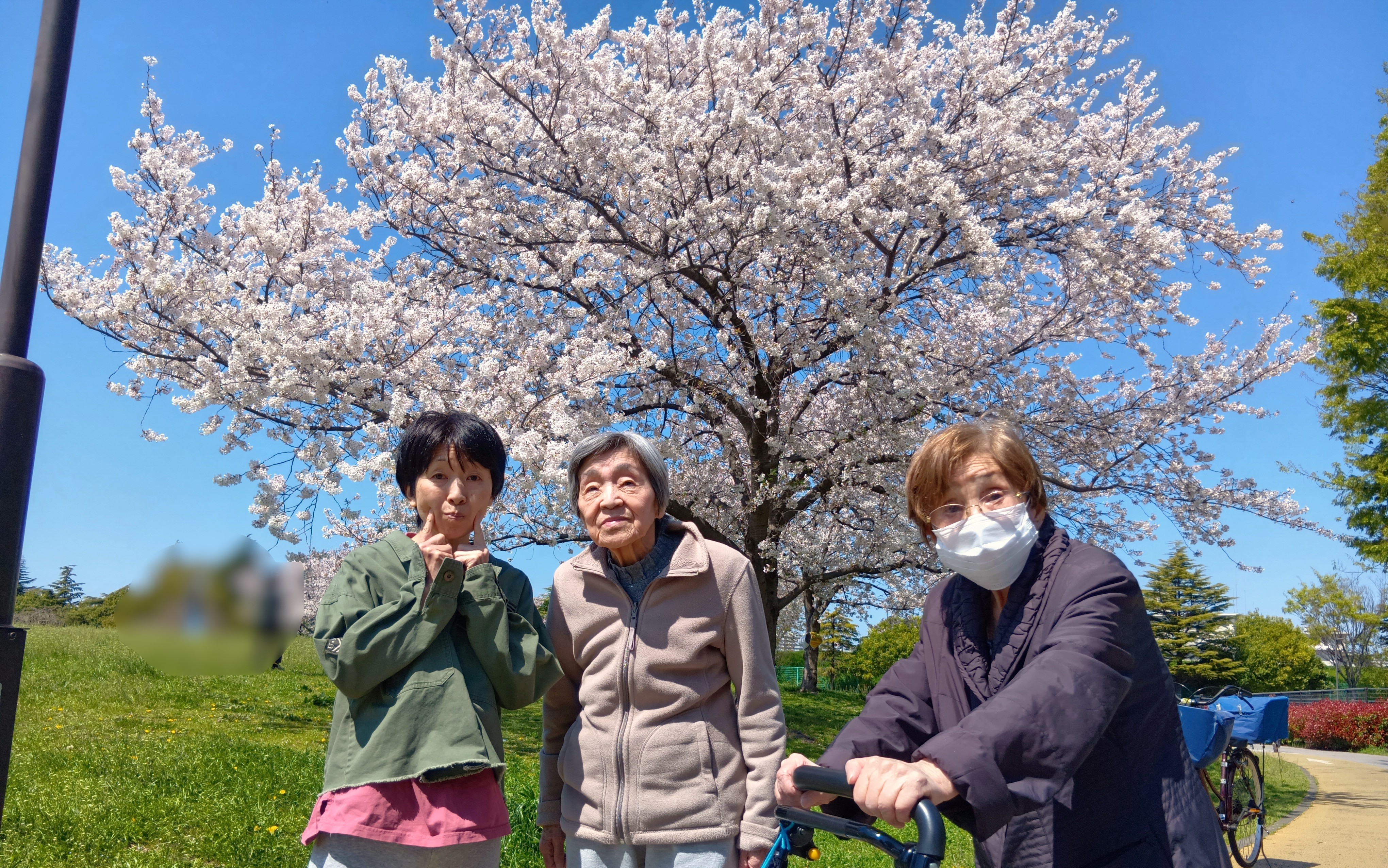 お花見にいきました🌸