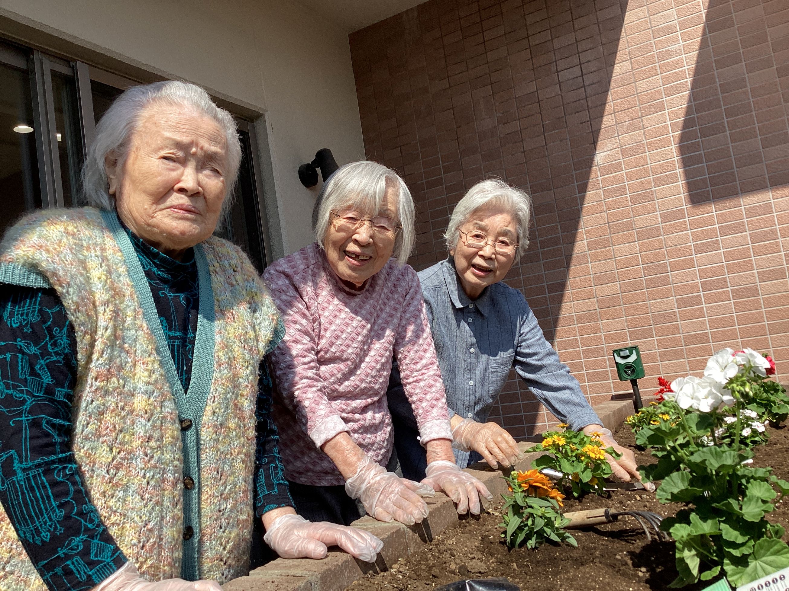 梅雨の前に・・・🌺🌼🪴
