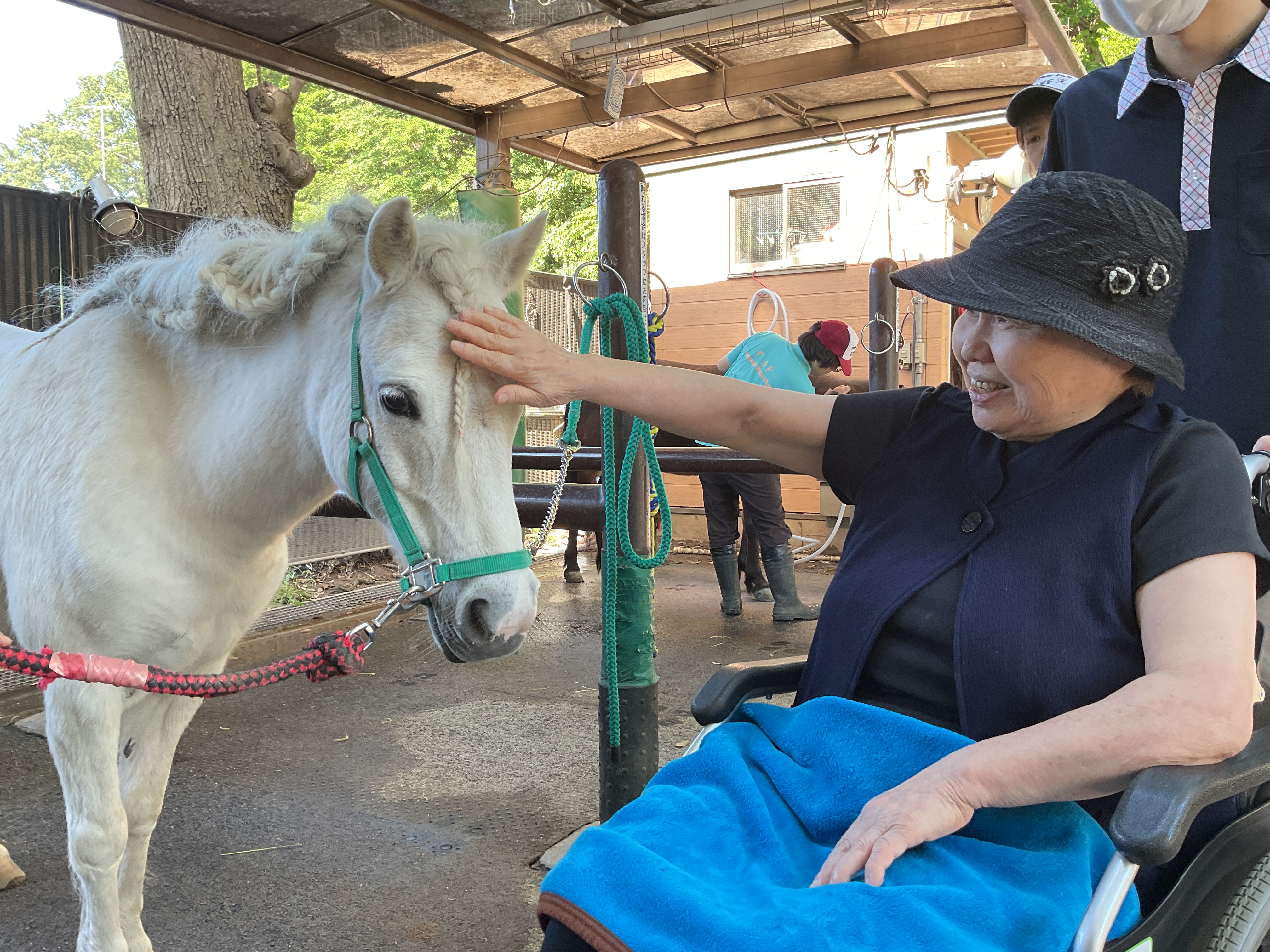 今日は暖かいですね！🏇🌞