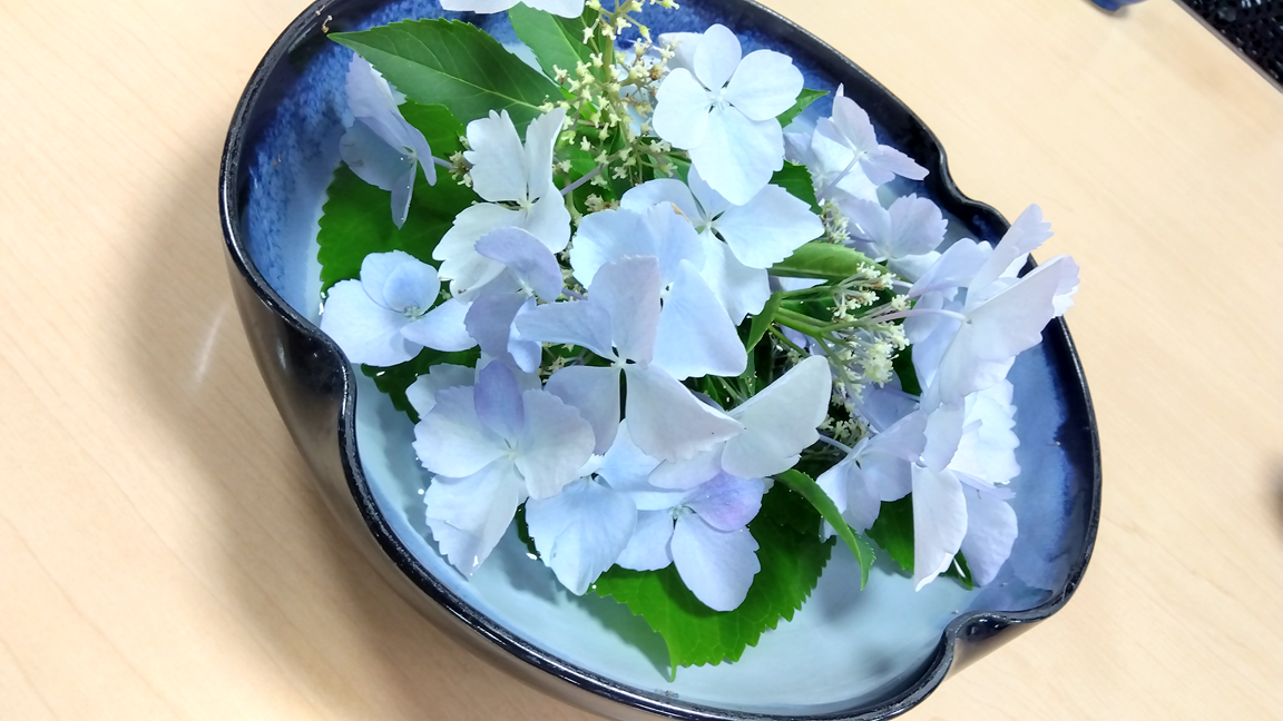 紫陽花（フラワーアレンジメント）