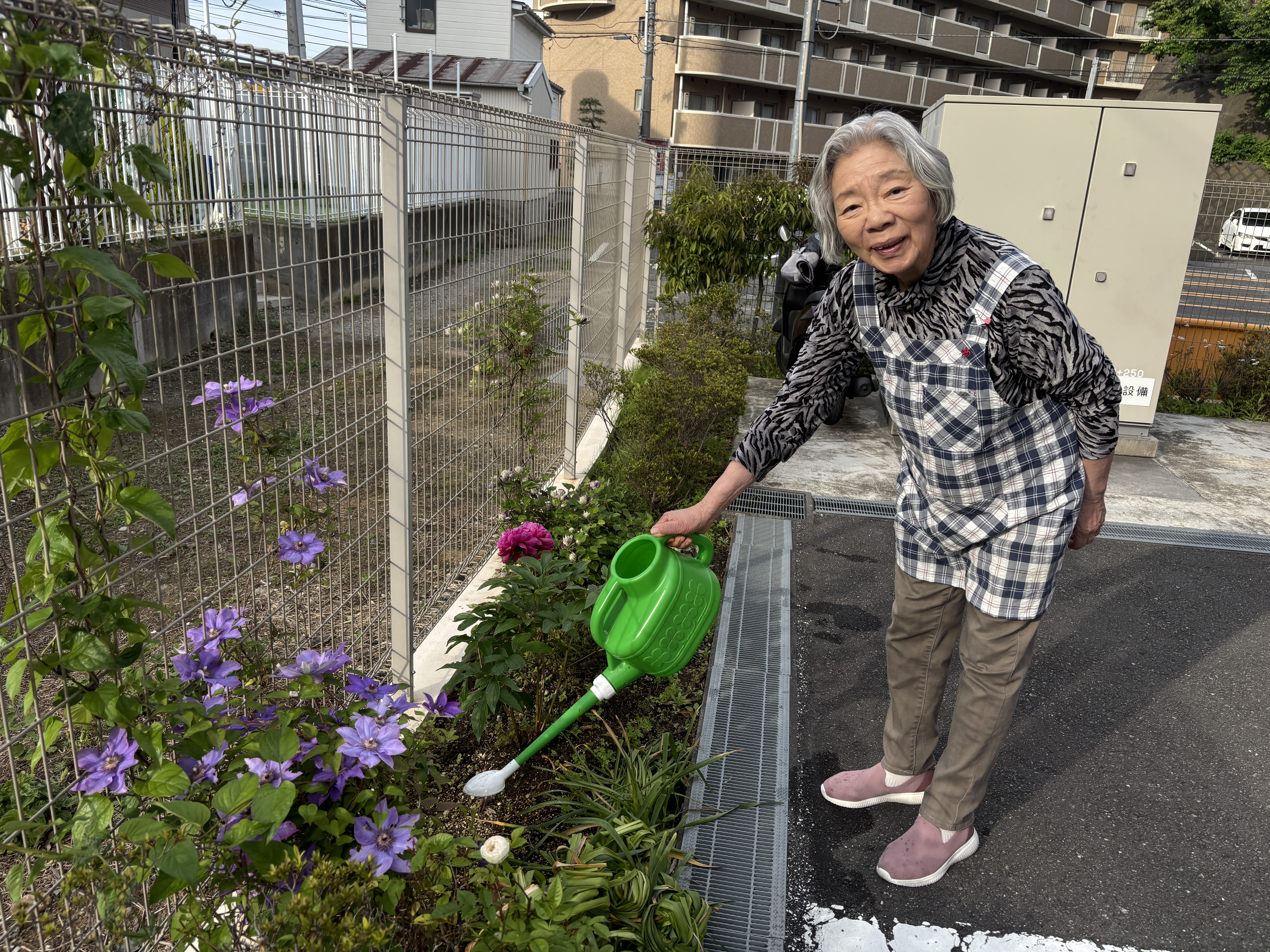 綺麗なお花です