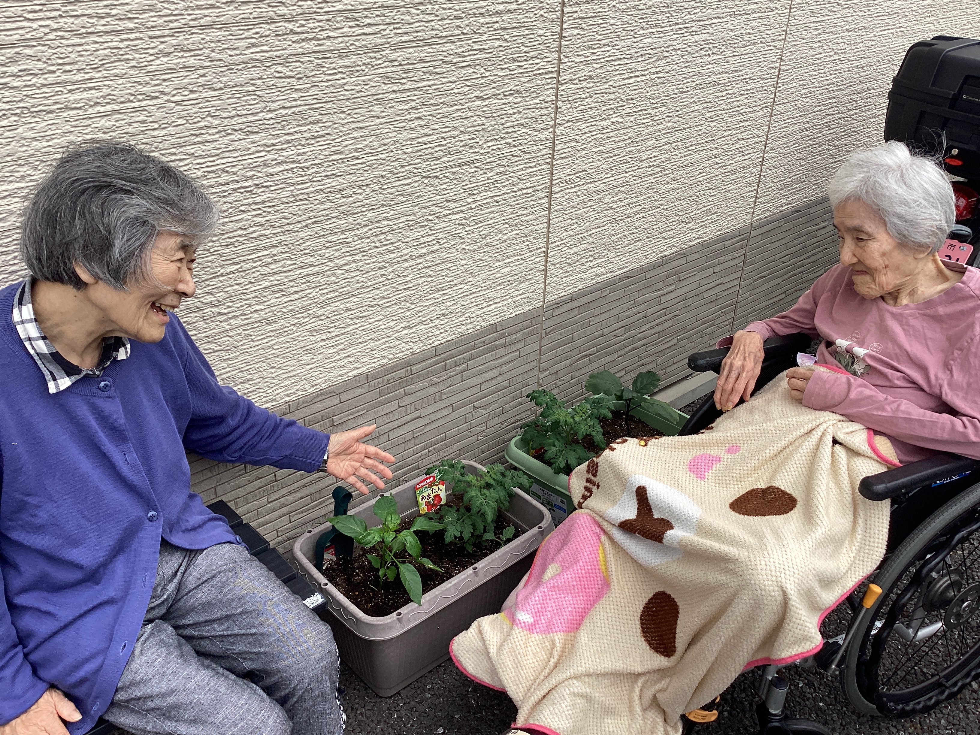 プランター菜園🍅🍆