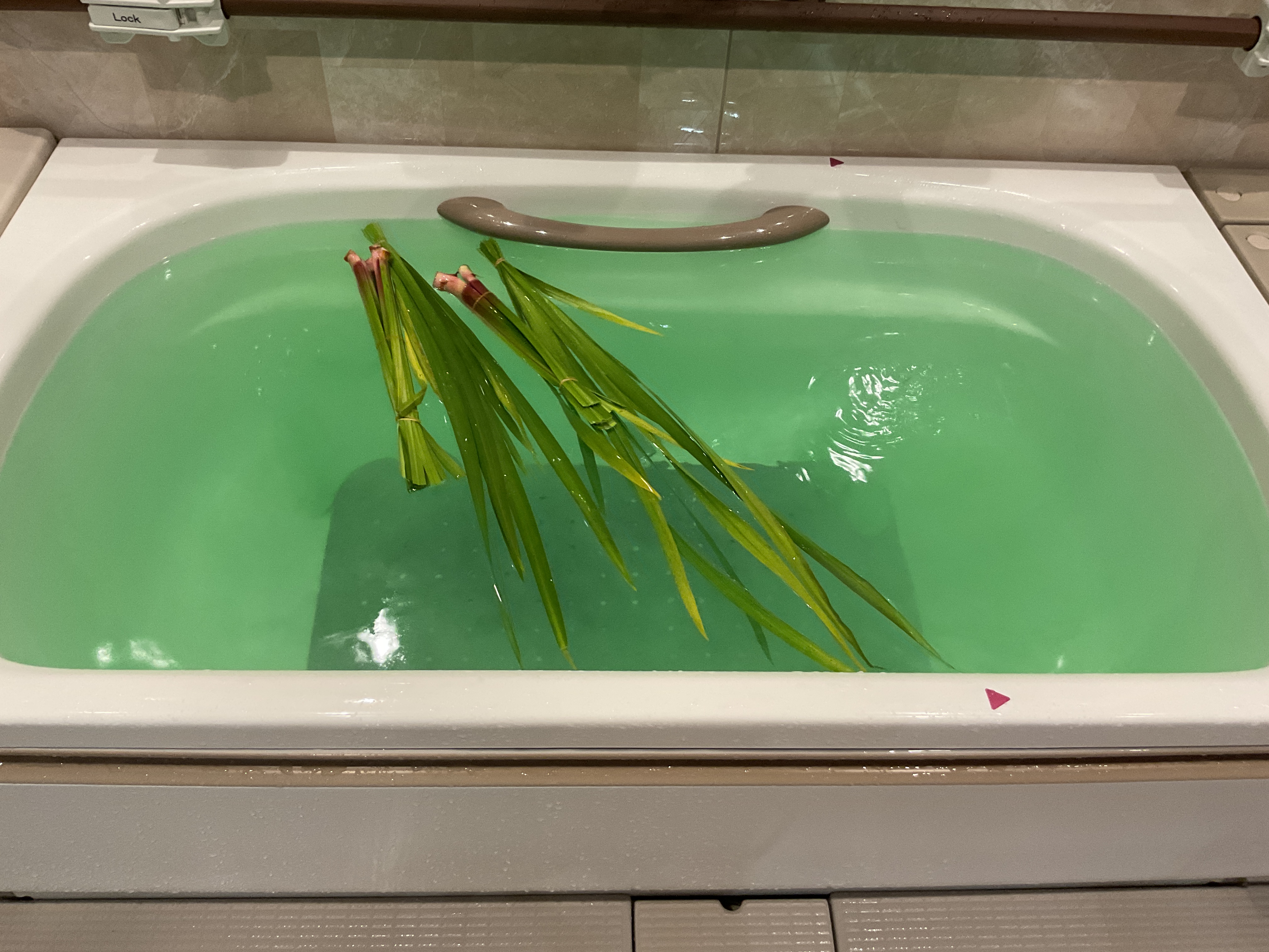 菖蒲湯♨