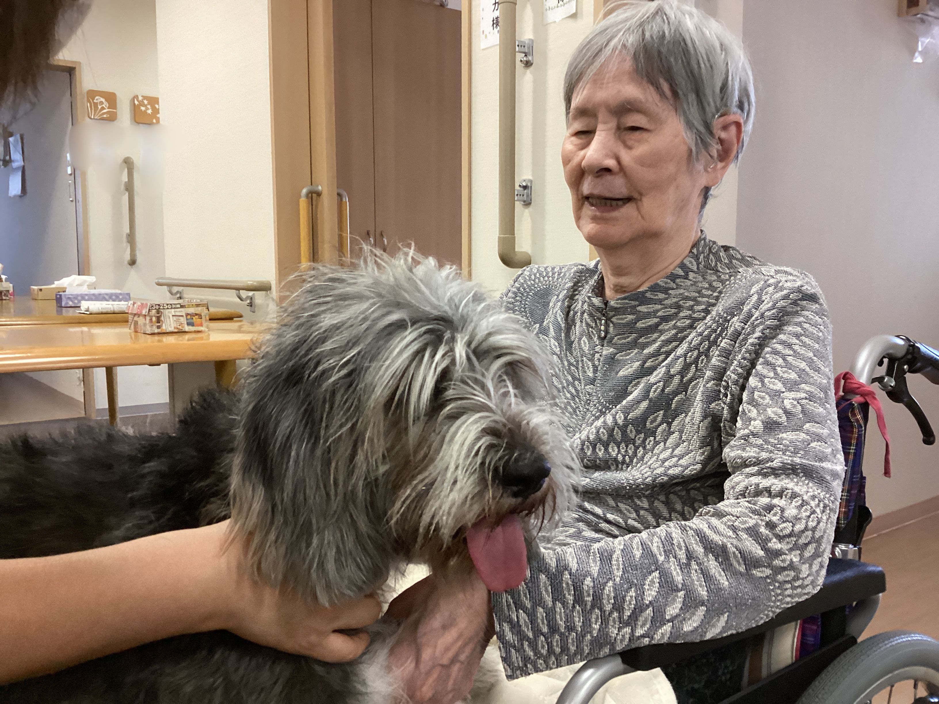 🐕Dog Therapy🐕