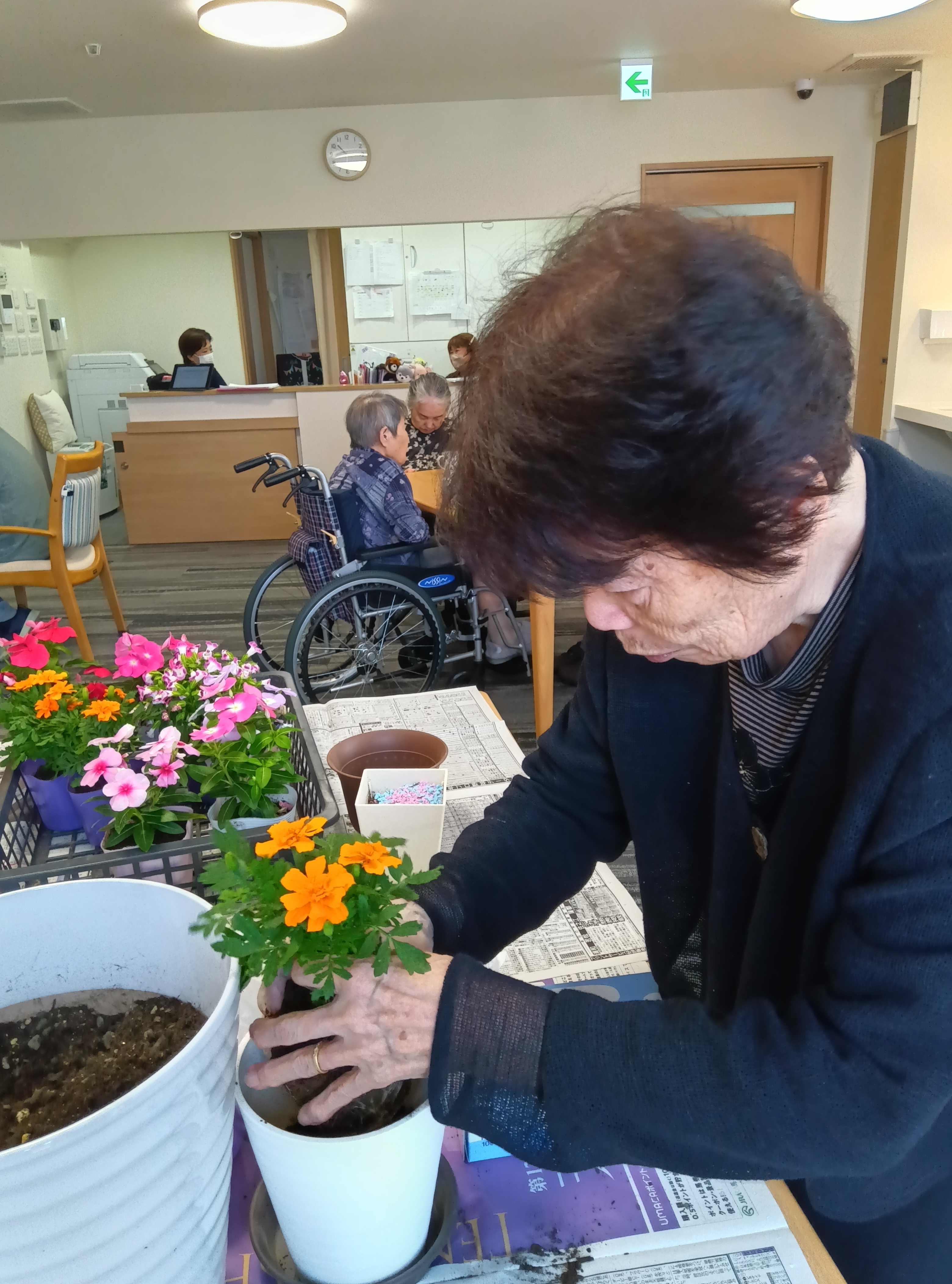 寄せ植え
