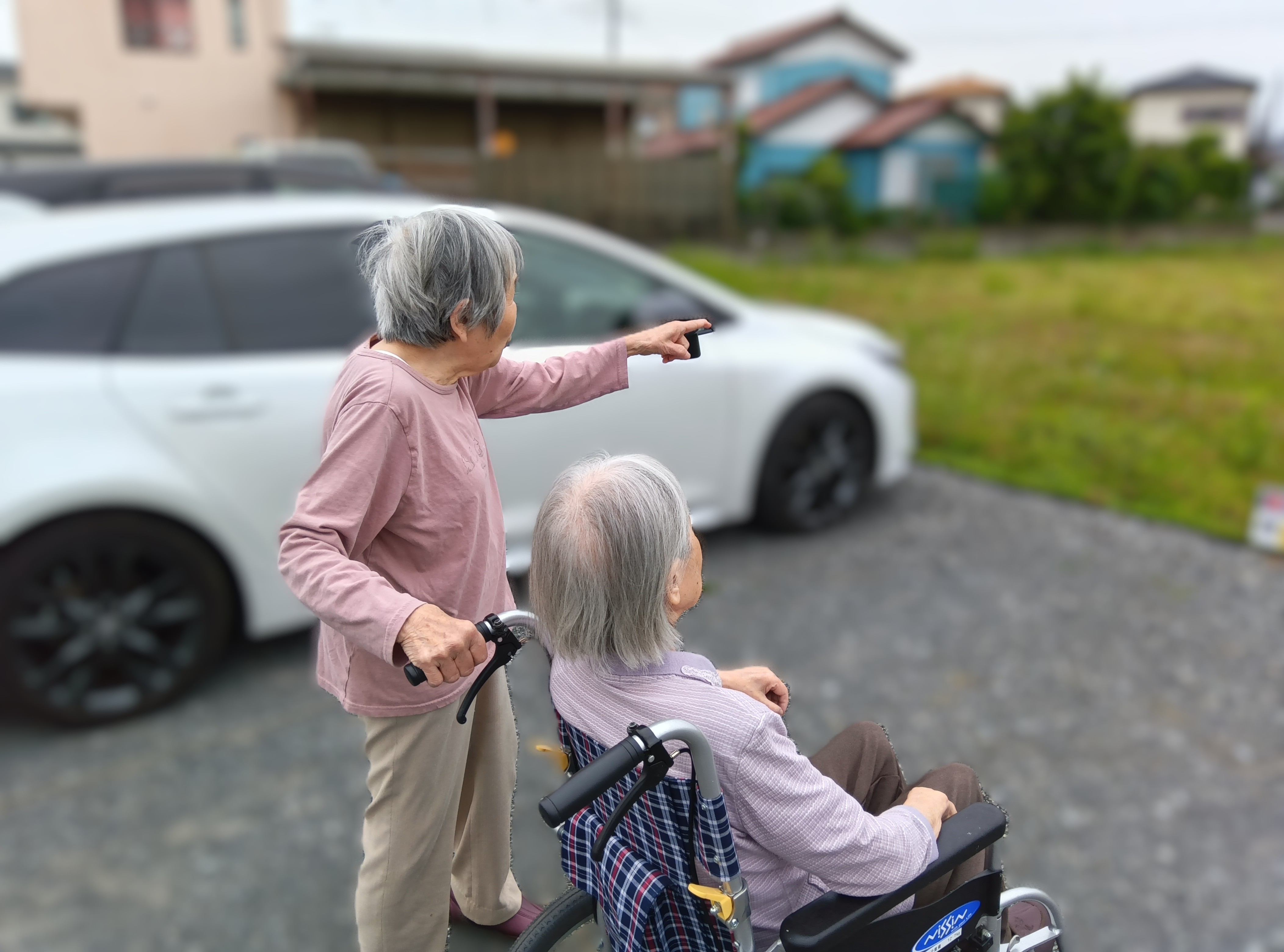お散歩