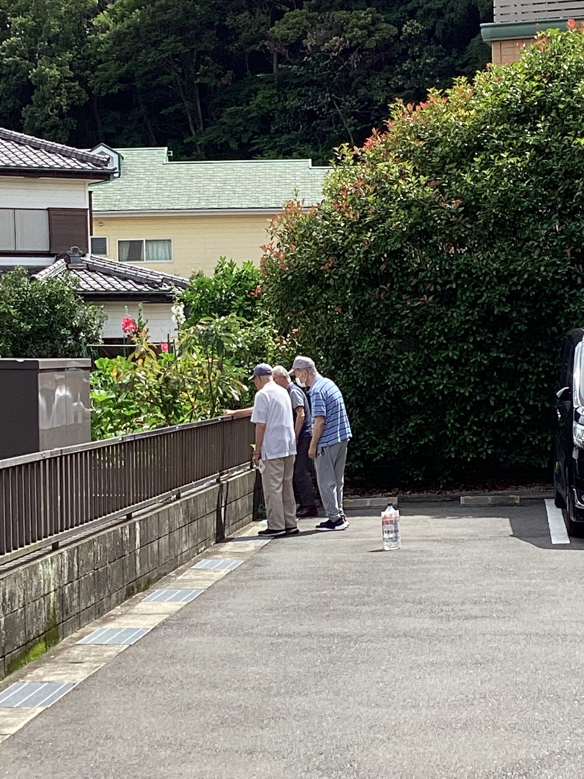 晴れ間に散歩～