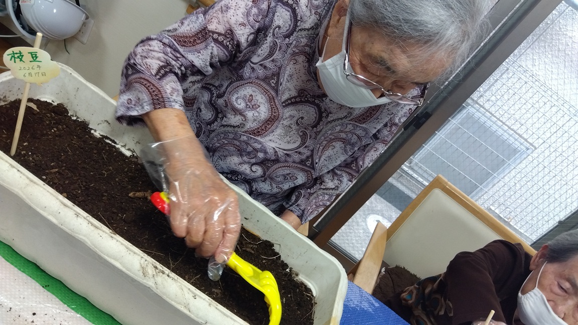 ミモザ菜園（枝豆編）