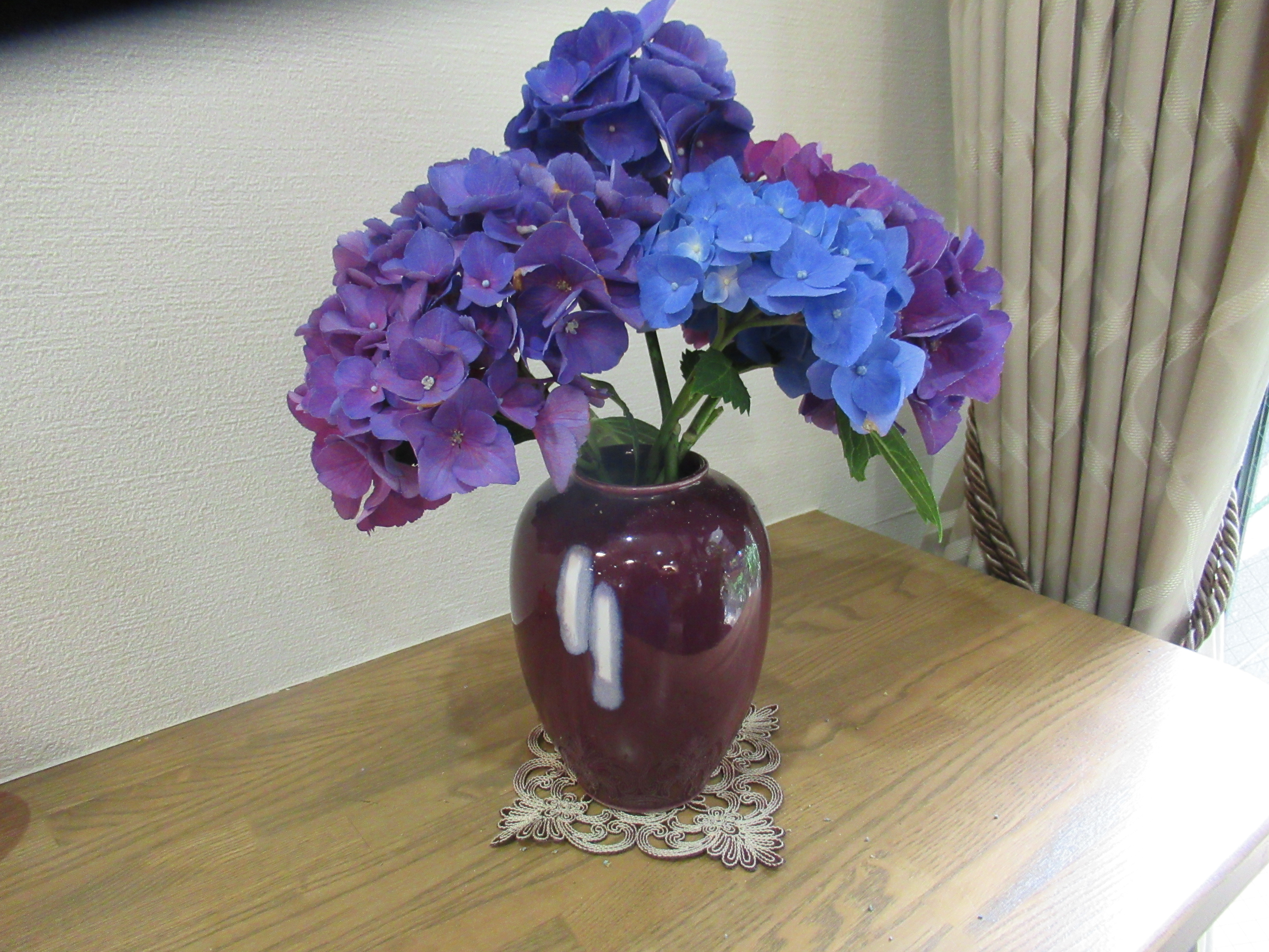 IMG_2445.jpg