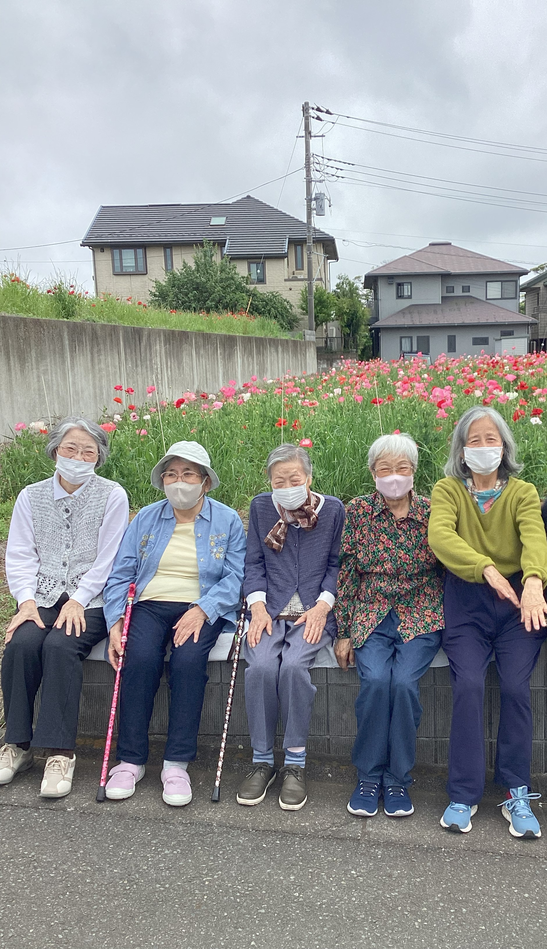 ポピー畑と遊行寺