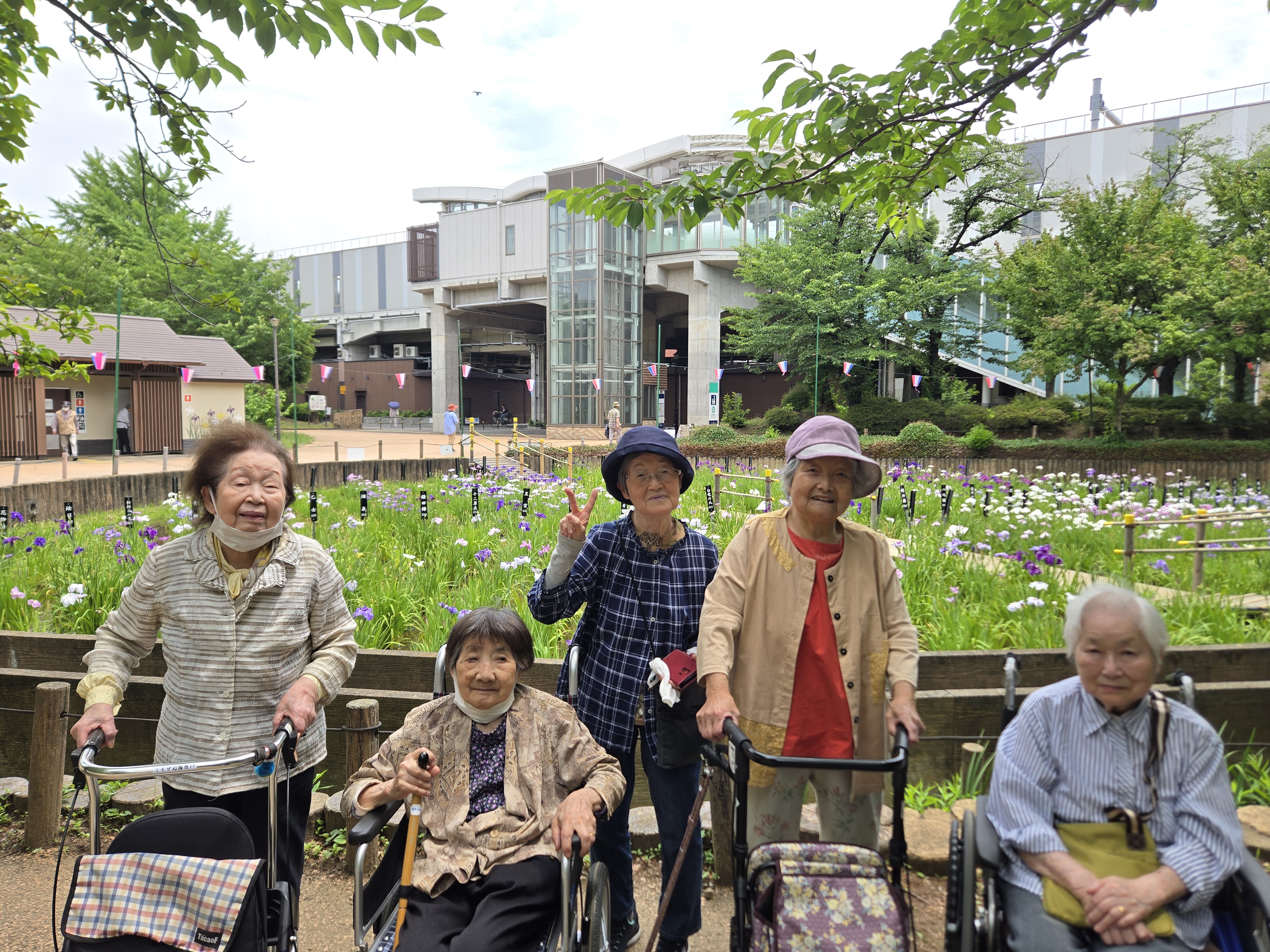 【葛飾奥戸】しょうぶ沼公園（６月）
