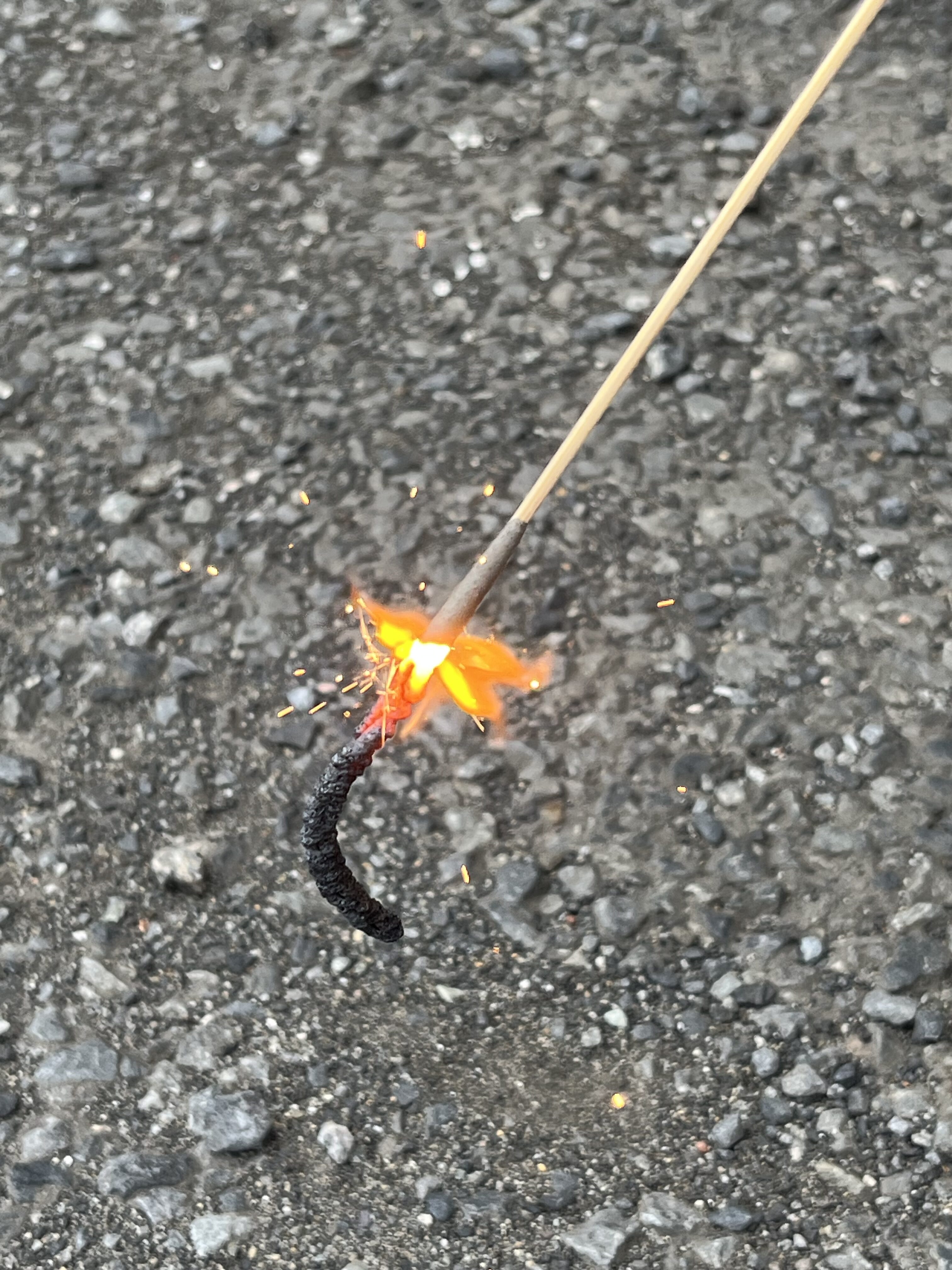 🎐夕涼み会🎇