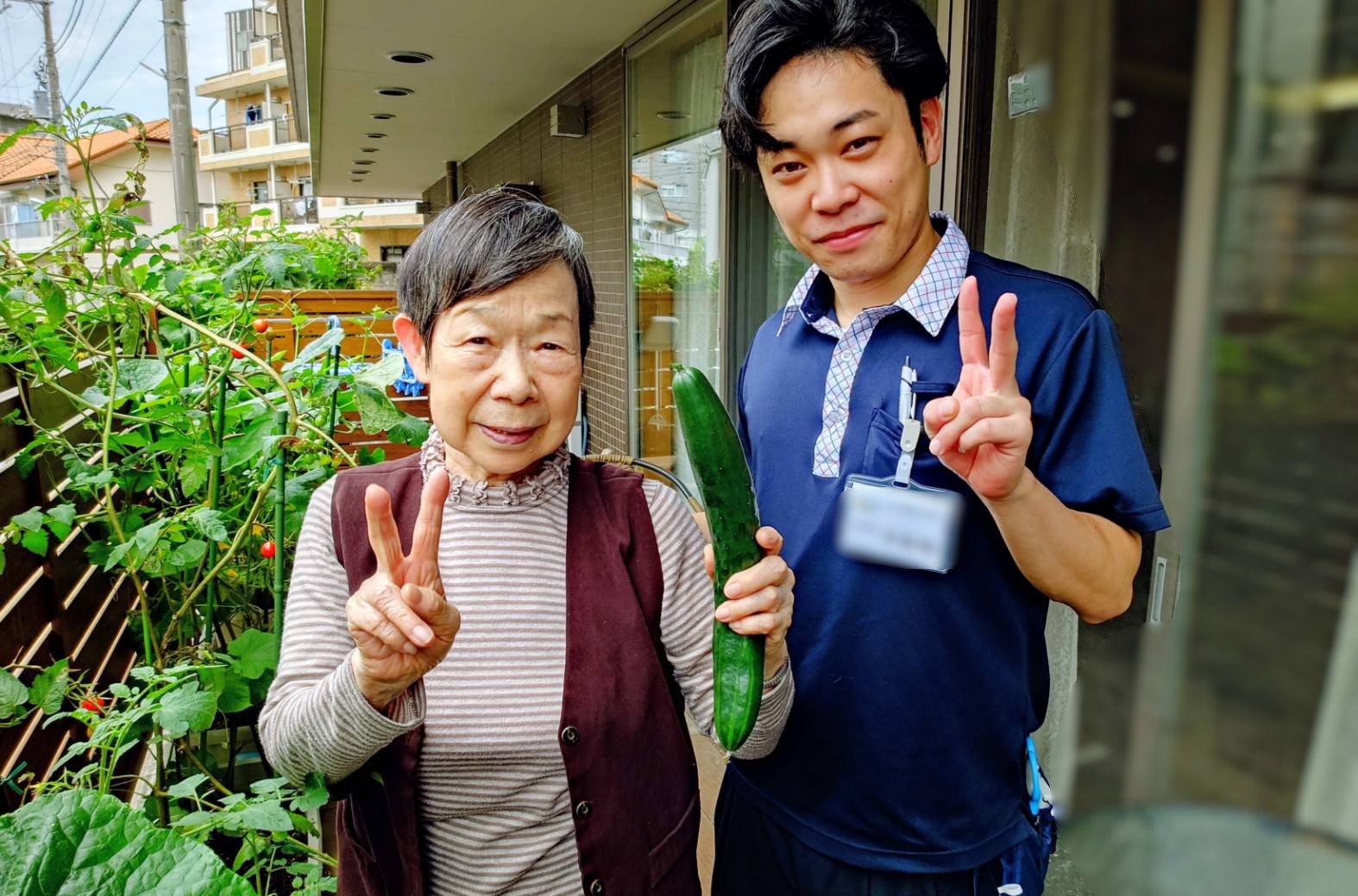 立派なキュウリを収穫しました！！