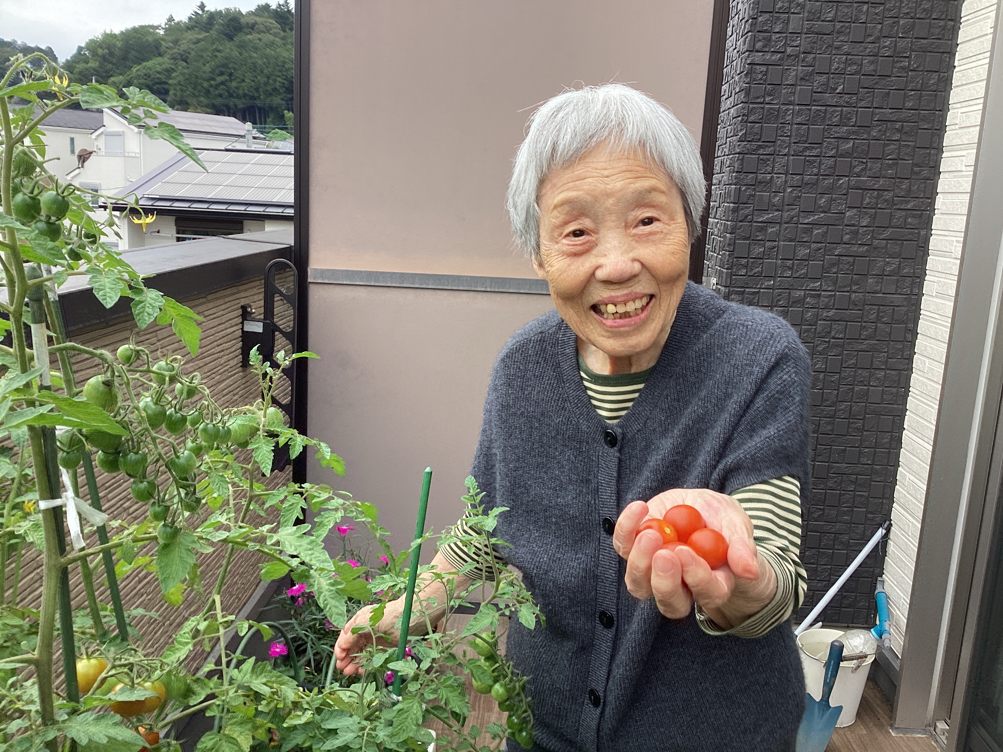 大量収穫🥒🍅✨