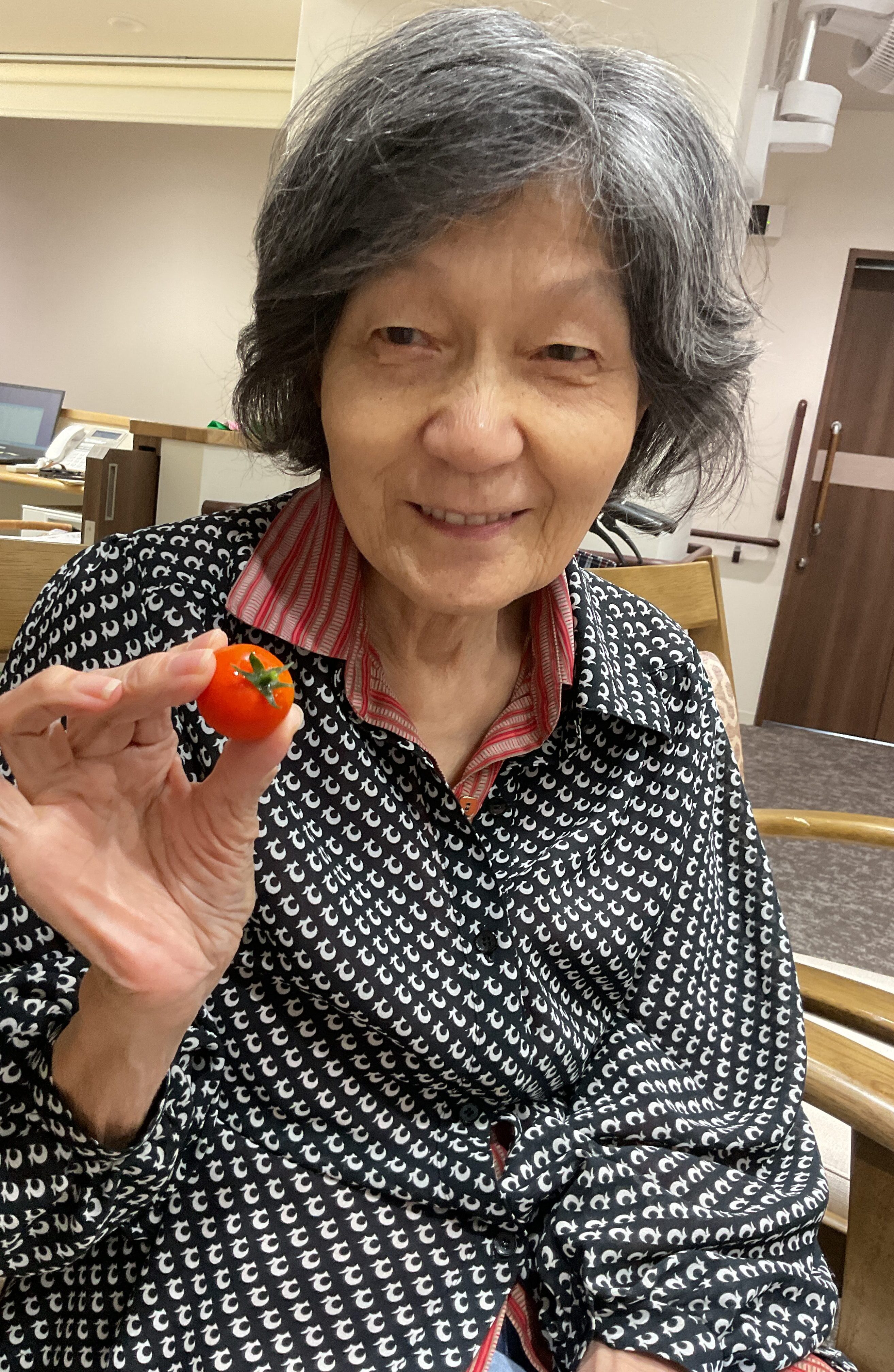 野菜収穫！