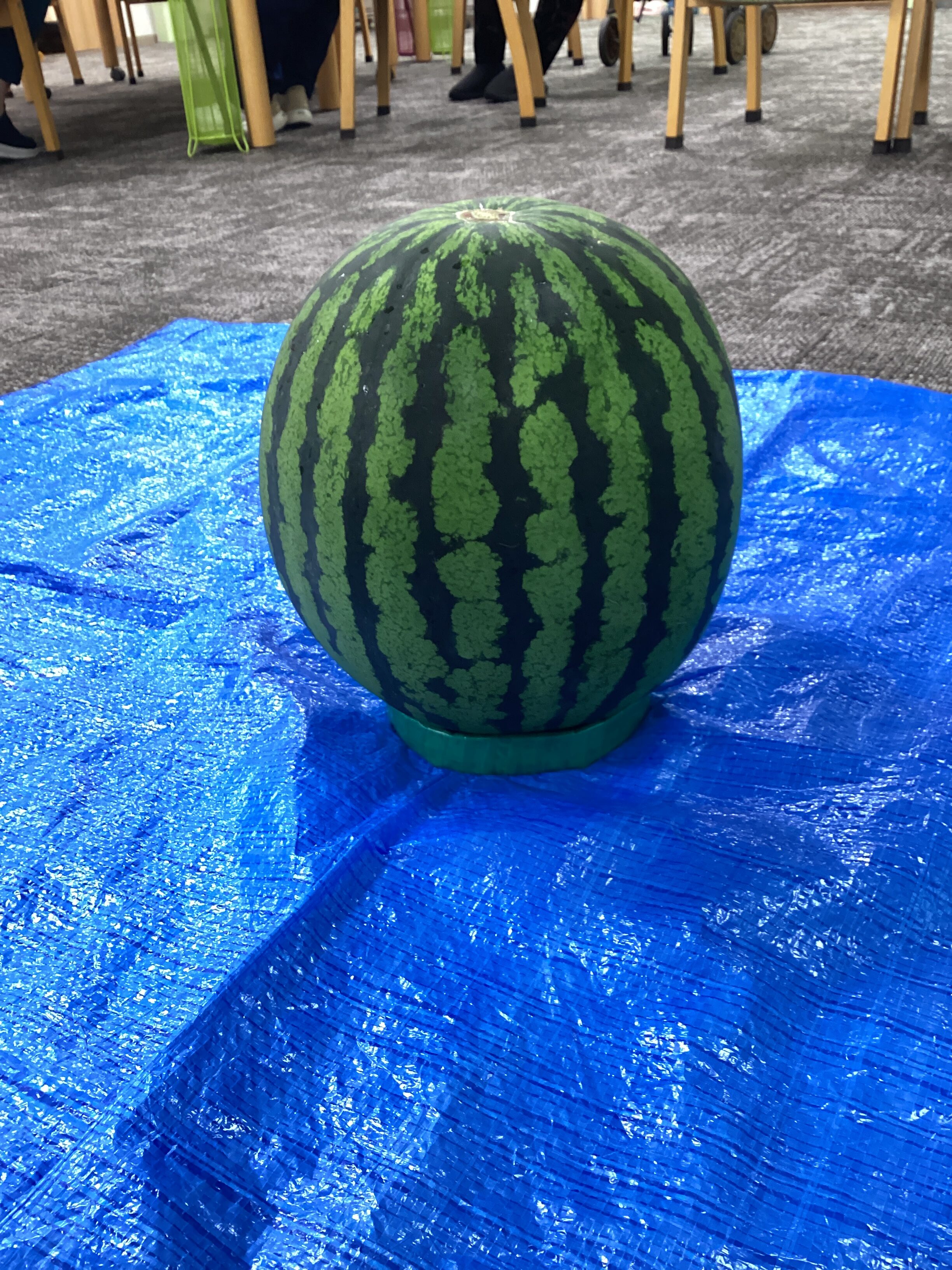 大きな🍉スイカ🍉